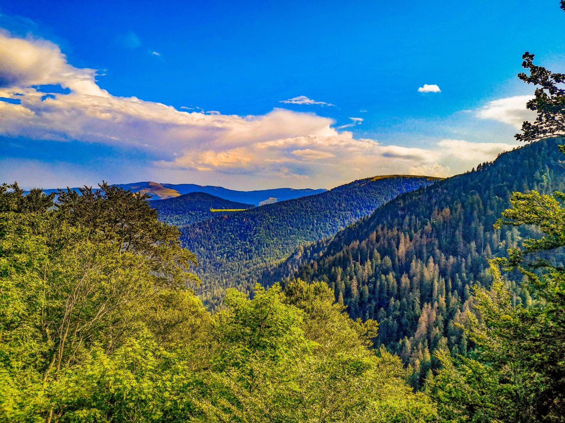 Chipote by Carl-Emilie