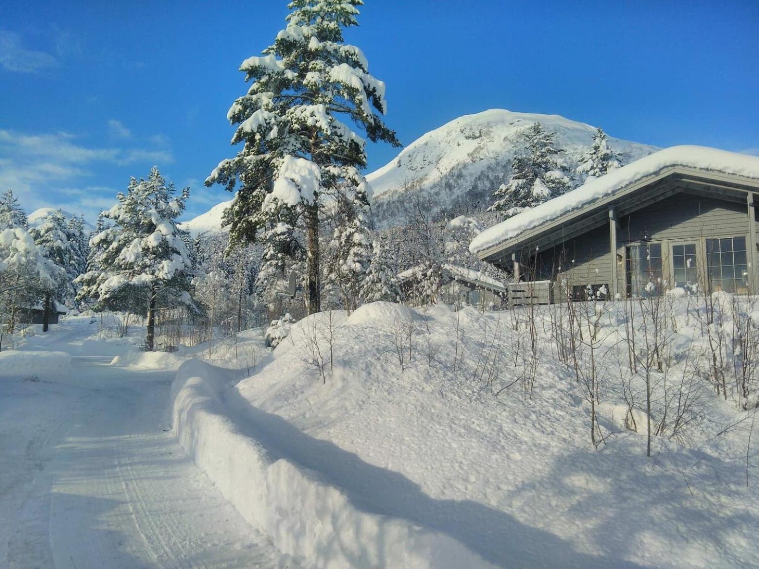 Jølsterlia Hyttetun