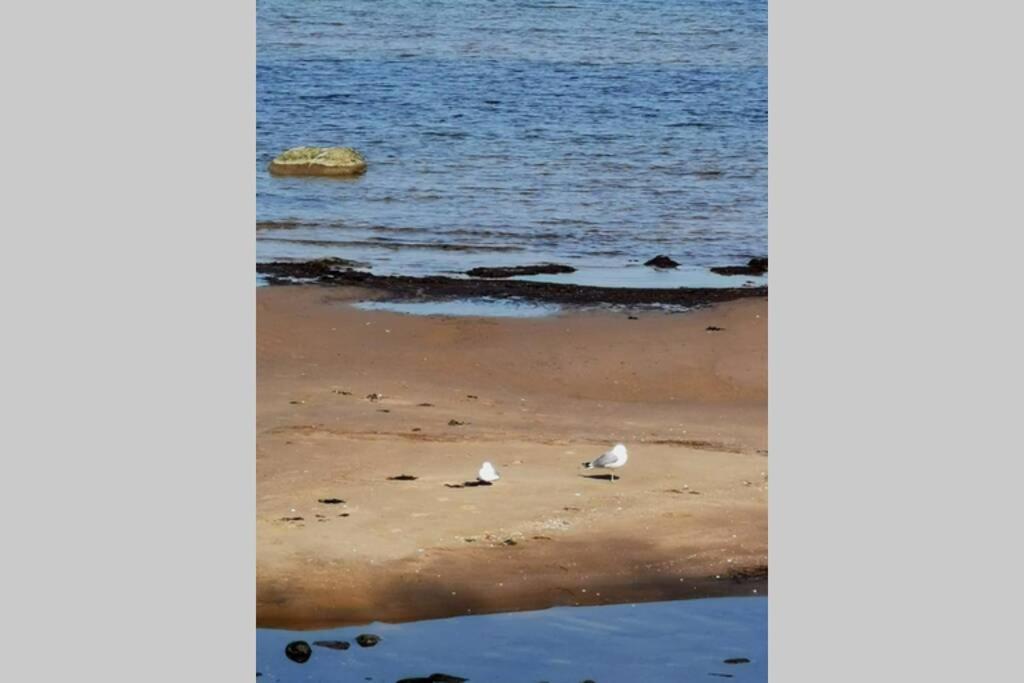 Stilren studiolägenhet på 20 kvm nära havet och centrum! Stationsterrassen 7