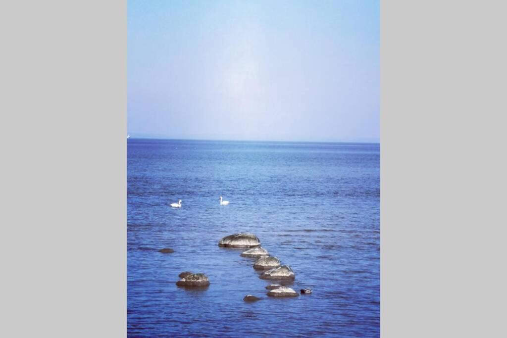 Stilren studiolägenhet på 20 kvm nära havet och centrum! Stationsterrassen 7