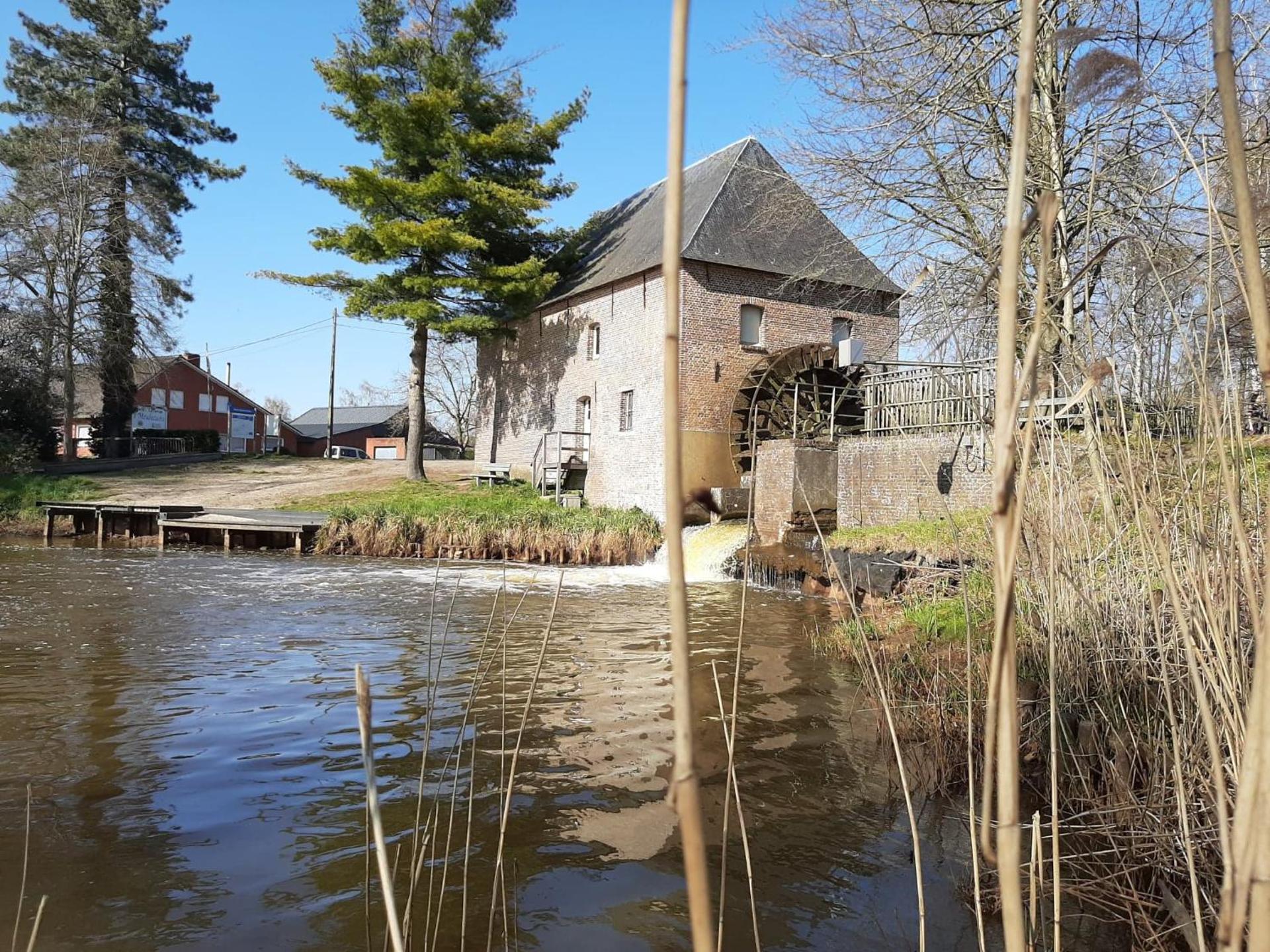 Vakantiewoning De Kleine Duinberg - Chalet Nr 11