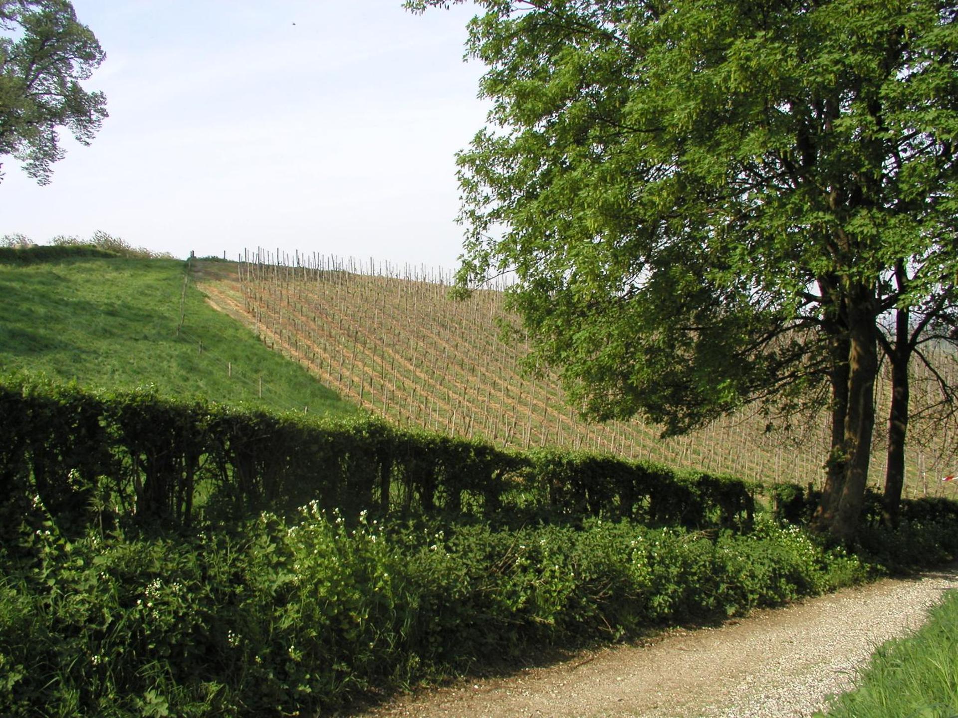 Bed en Breakfast Hof van Wolder