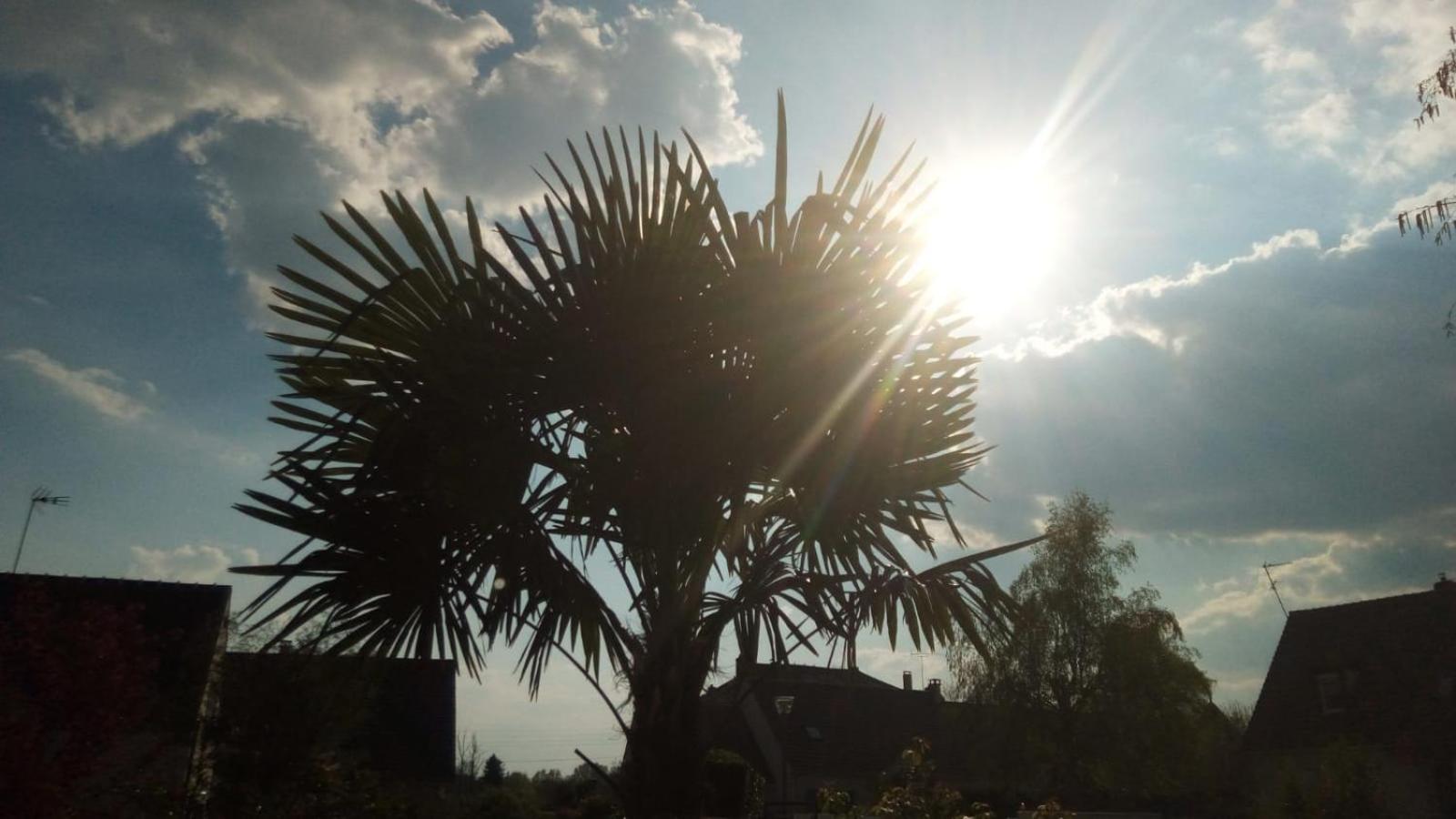 Gîtelabaronnaise avec piscine chauffée prés parc Asterix