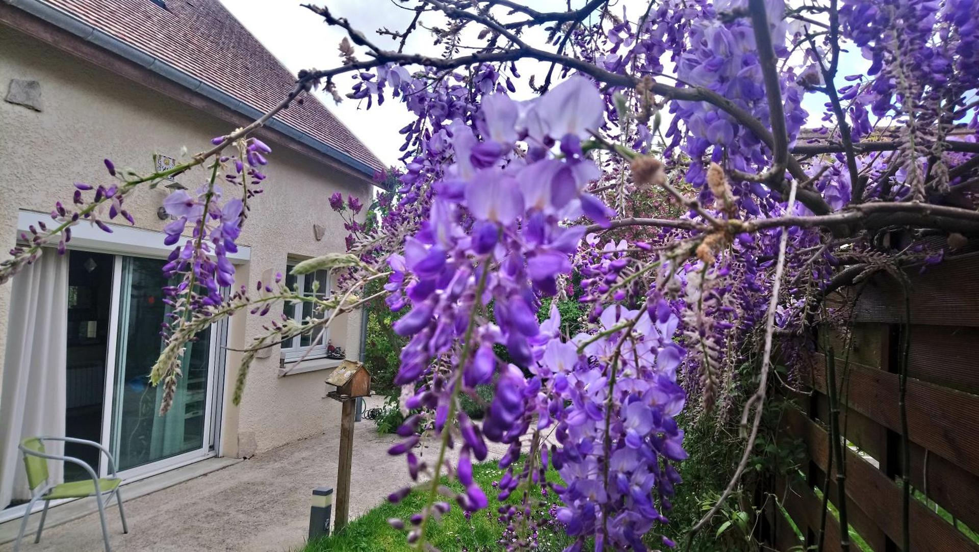 Gîtelabaronnaise avec piscine chauffée prés parc Asterix