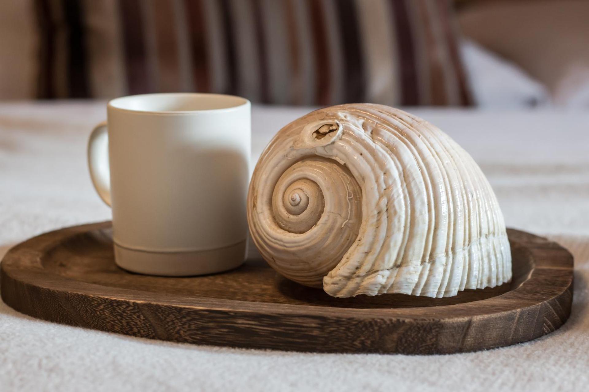 Family Room with Bathroom