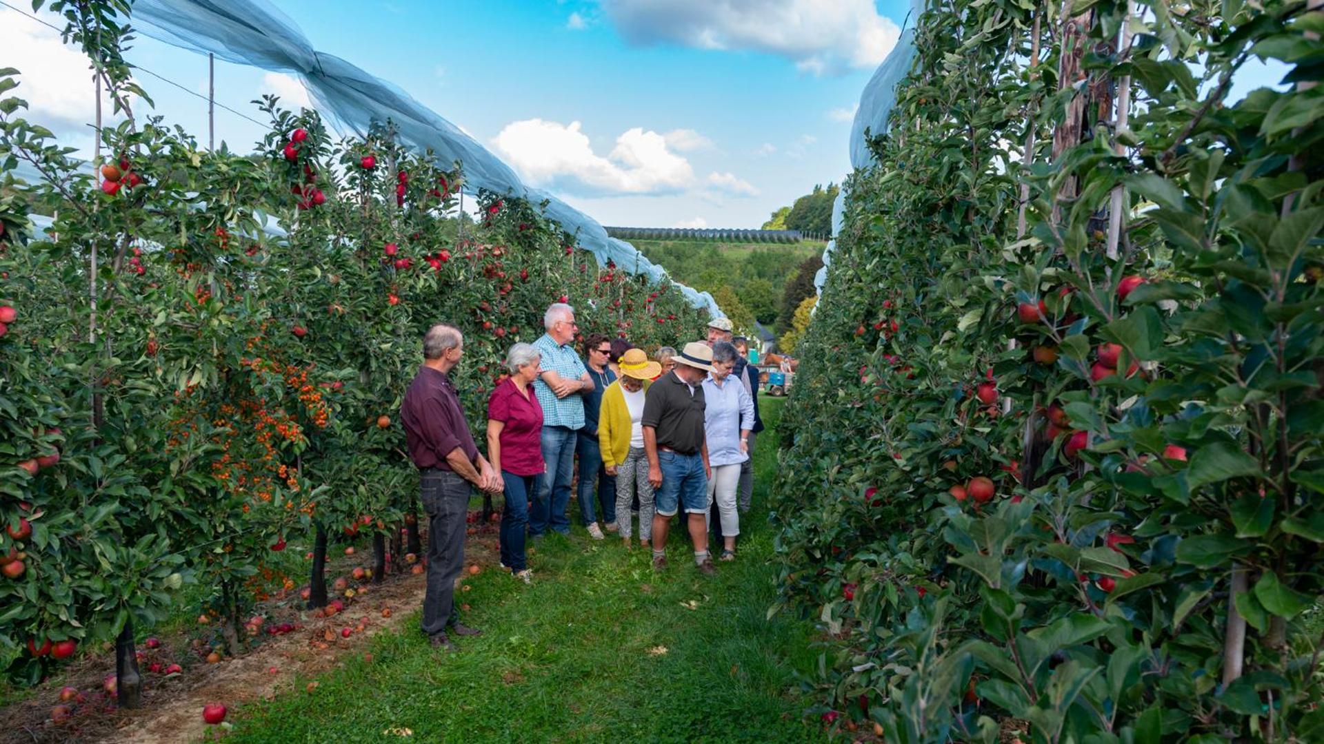 Vakantie oord Zonnehoeve