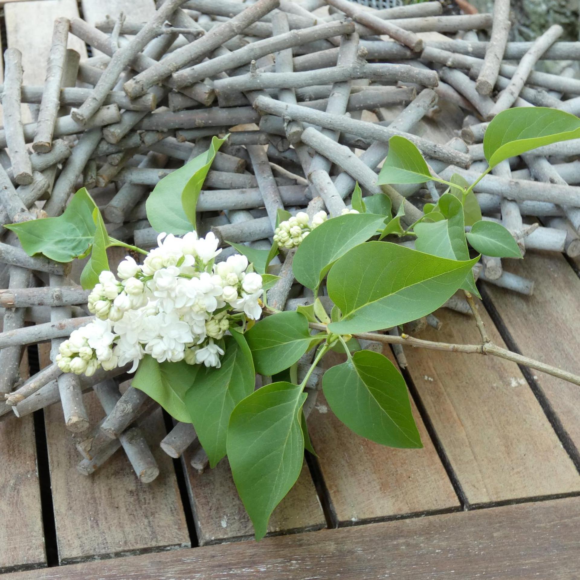 Gite ancienne Imprimerie