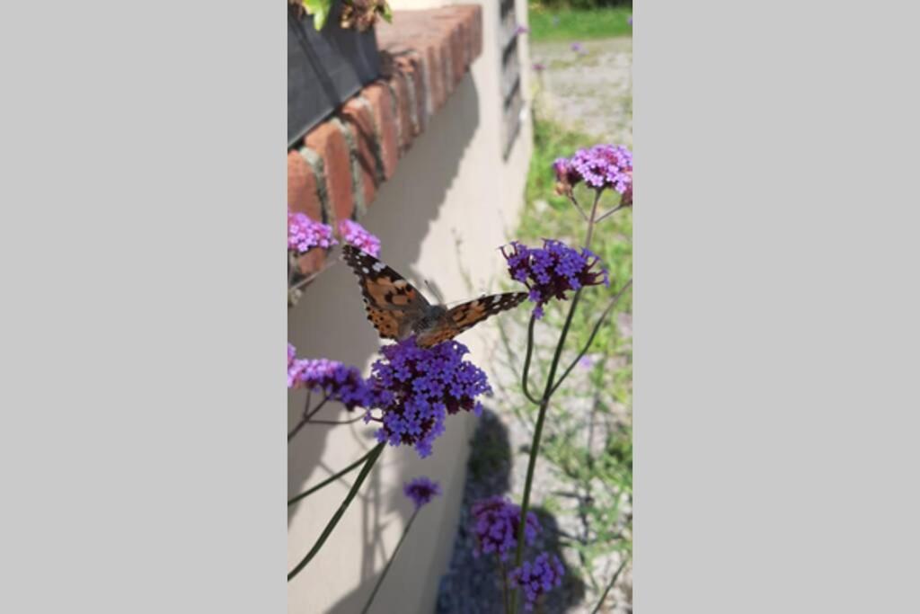 Driftwood Country Apartment