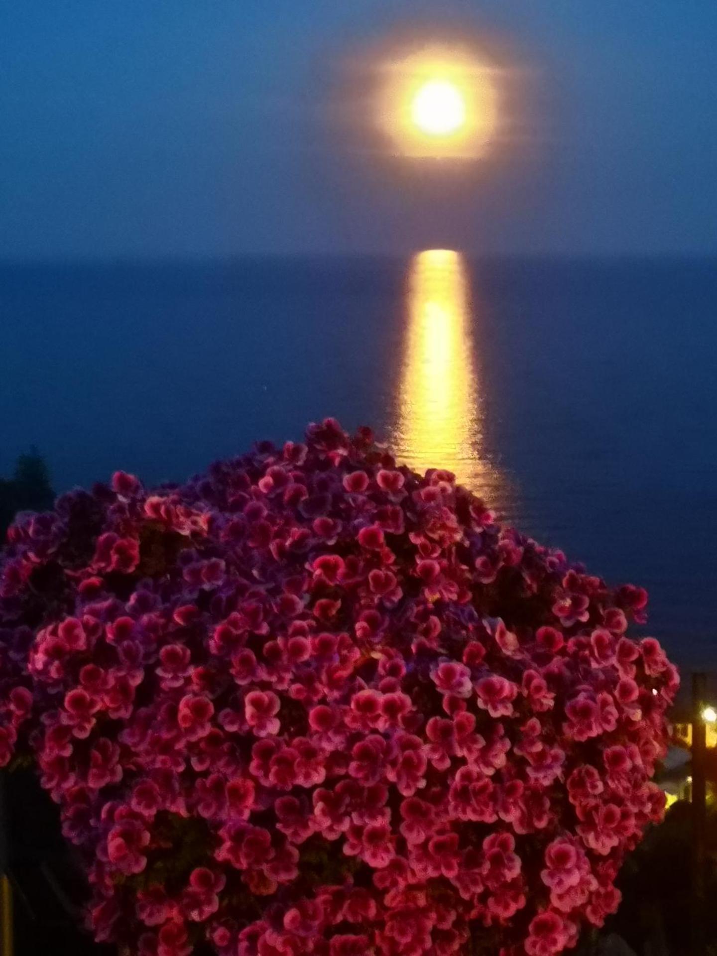 Double Room with Balcony and Sea View