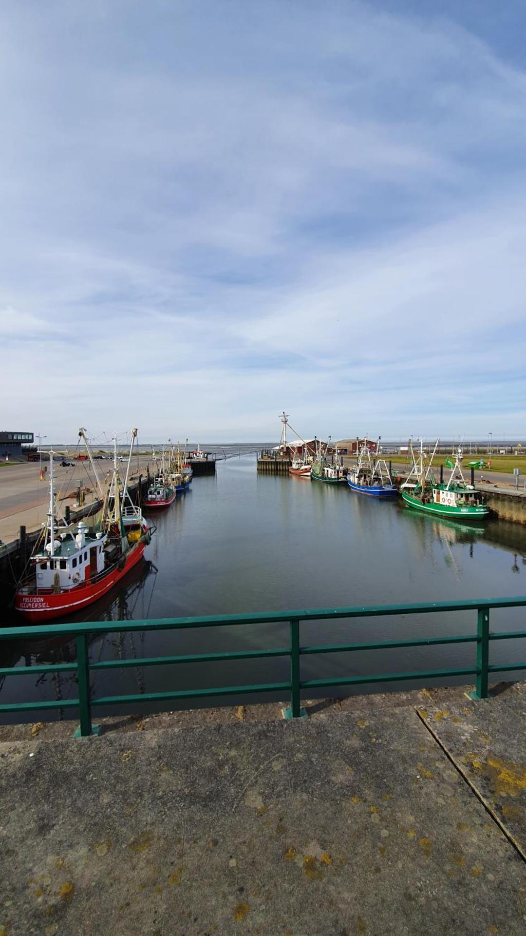 FeWo-Butze 2 mit Terrasse