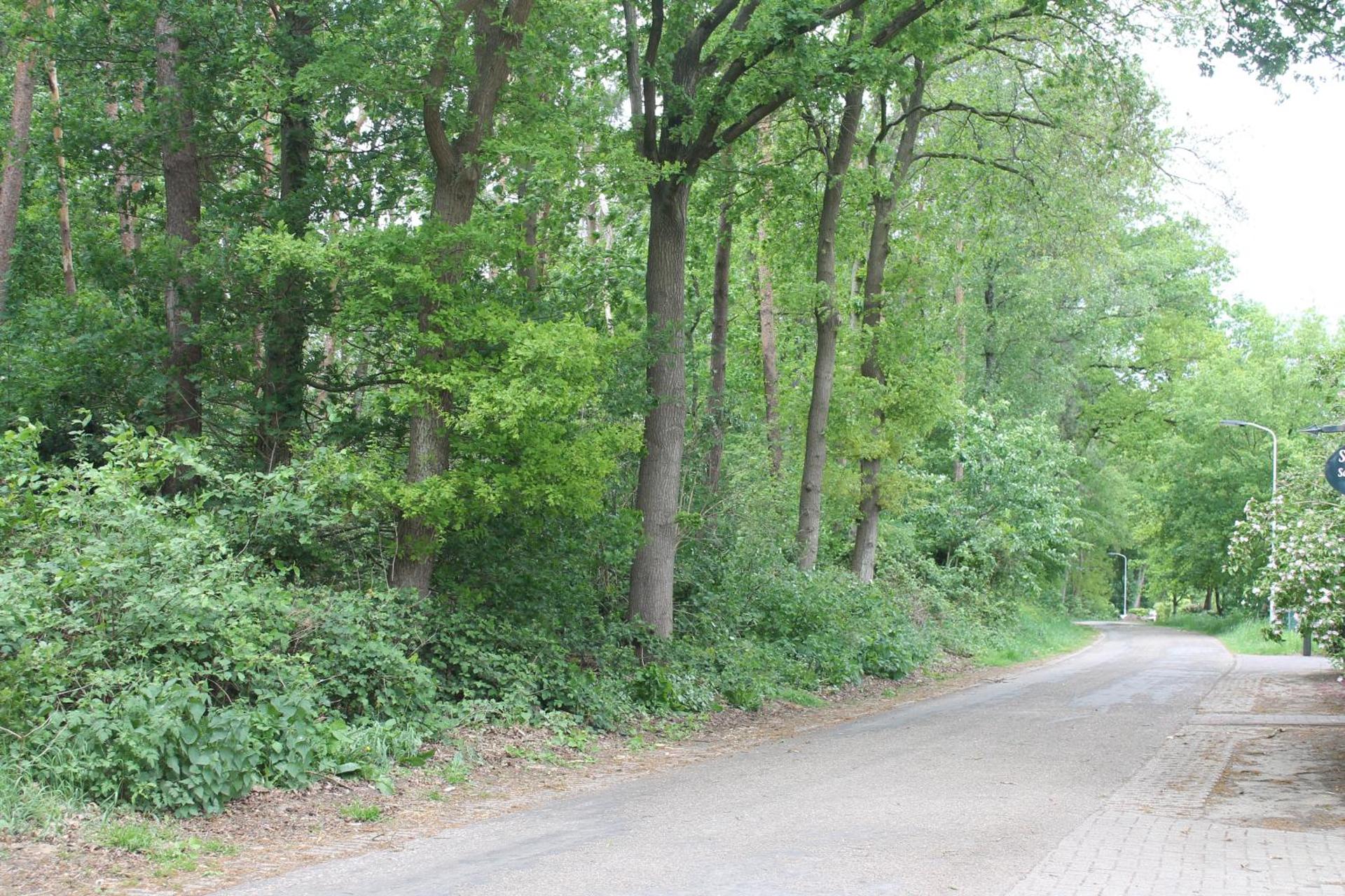 Gastenverblijf Peppelmate