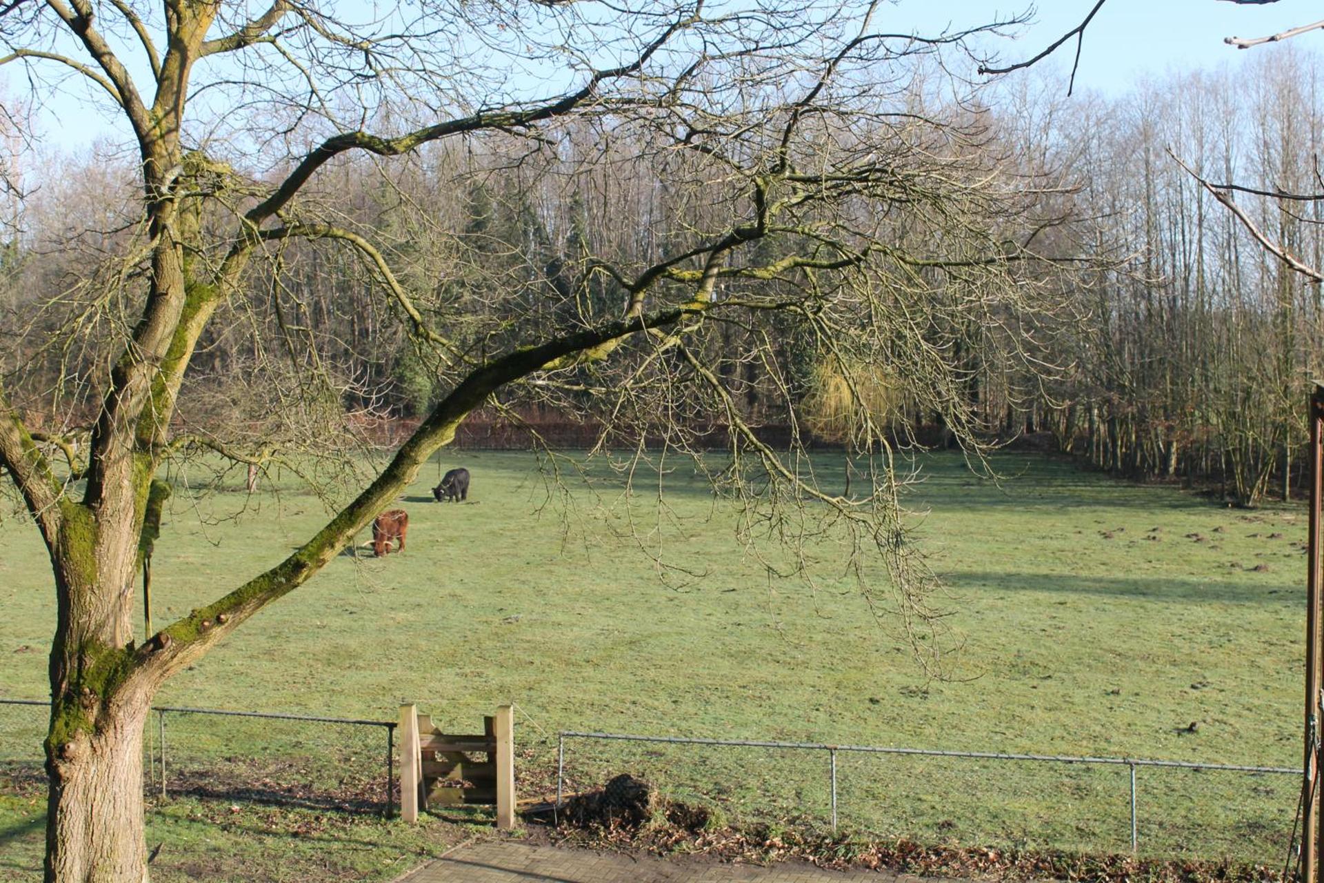 Gastenverblijf Peppelmate