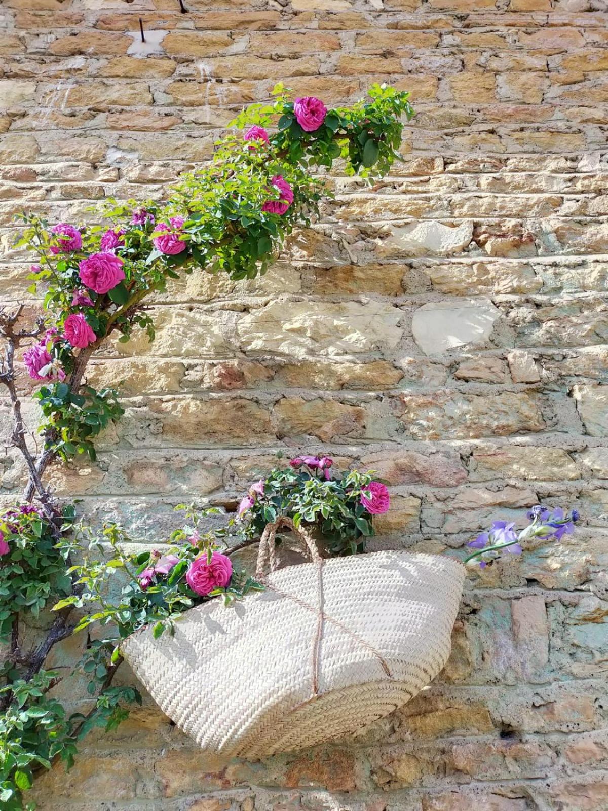 Inner courtyard view