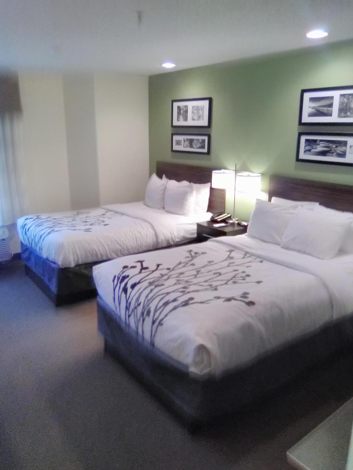 Camera con 2 Letti Matrimoniali 