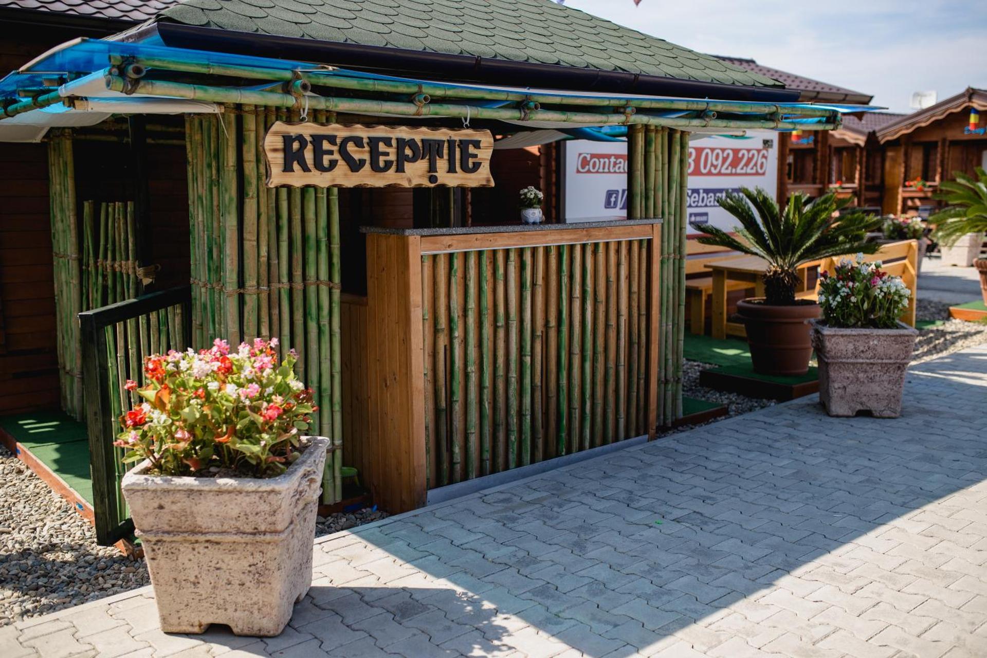 Casute Sebastian Baile Figa