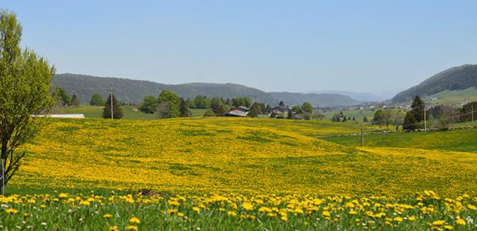 Lodge Hotel Les Rousses