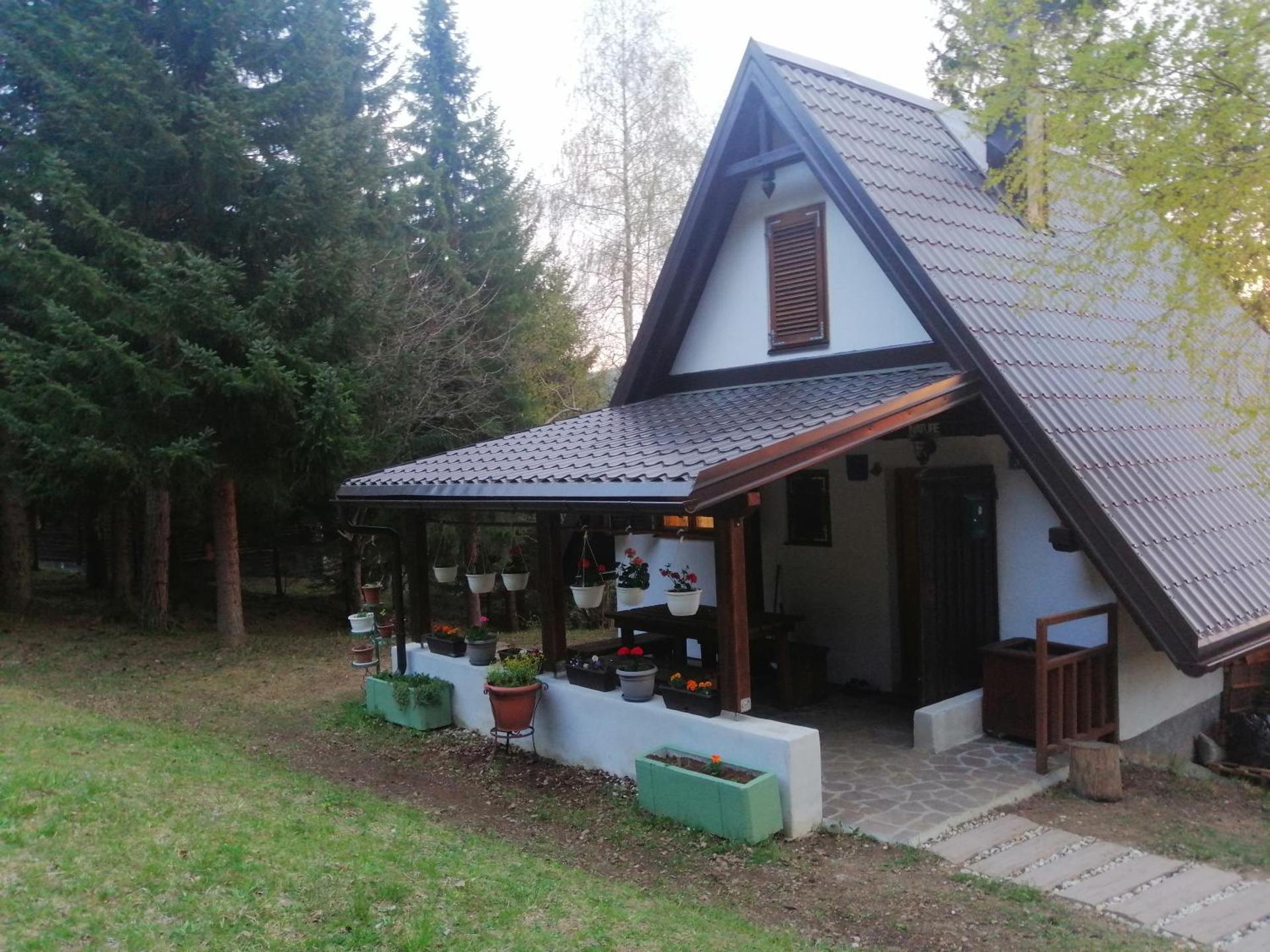 Holiday house Nature