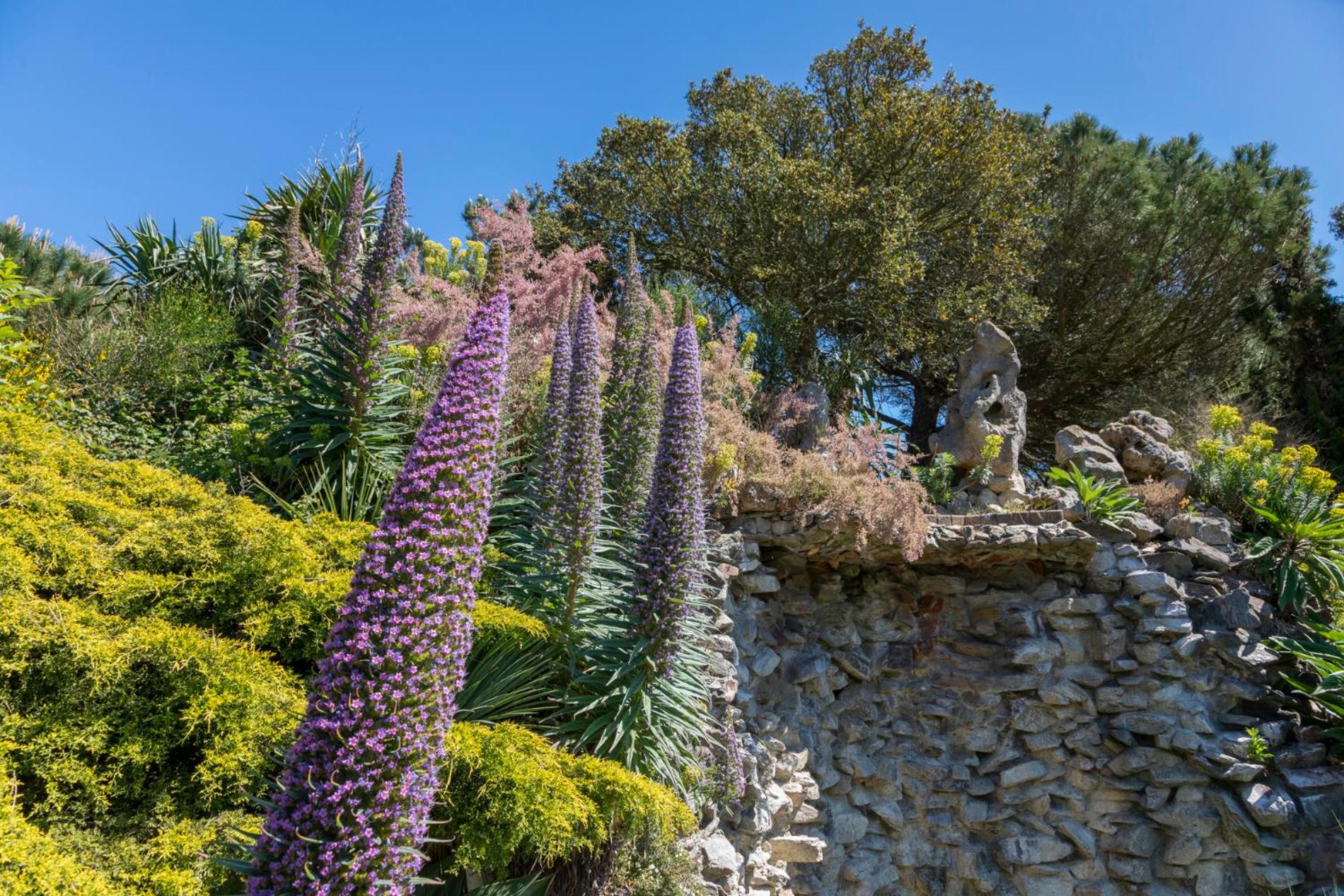 Welcome in - Chalet Vakantiepark Fort den Haak - huisdier toegestaan