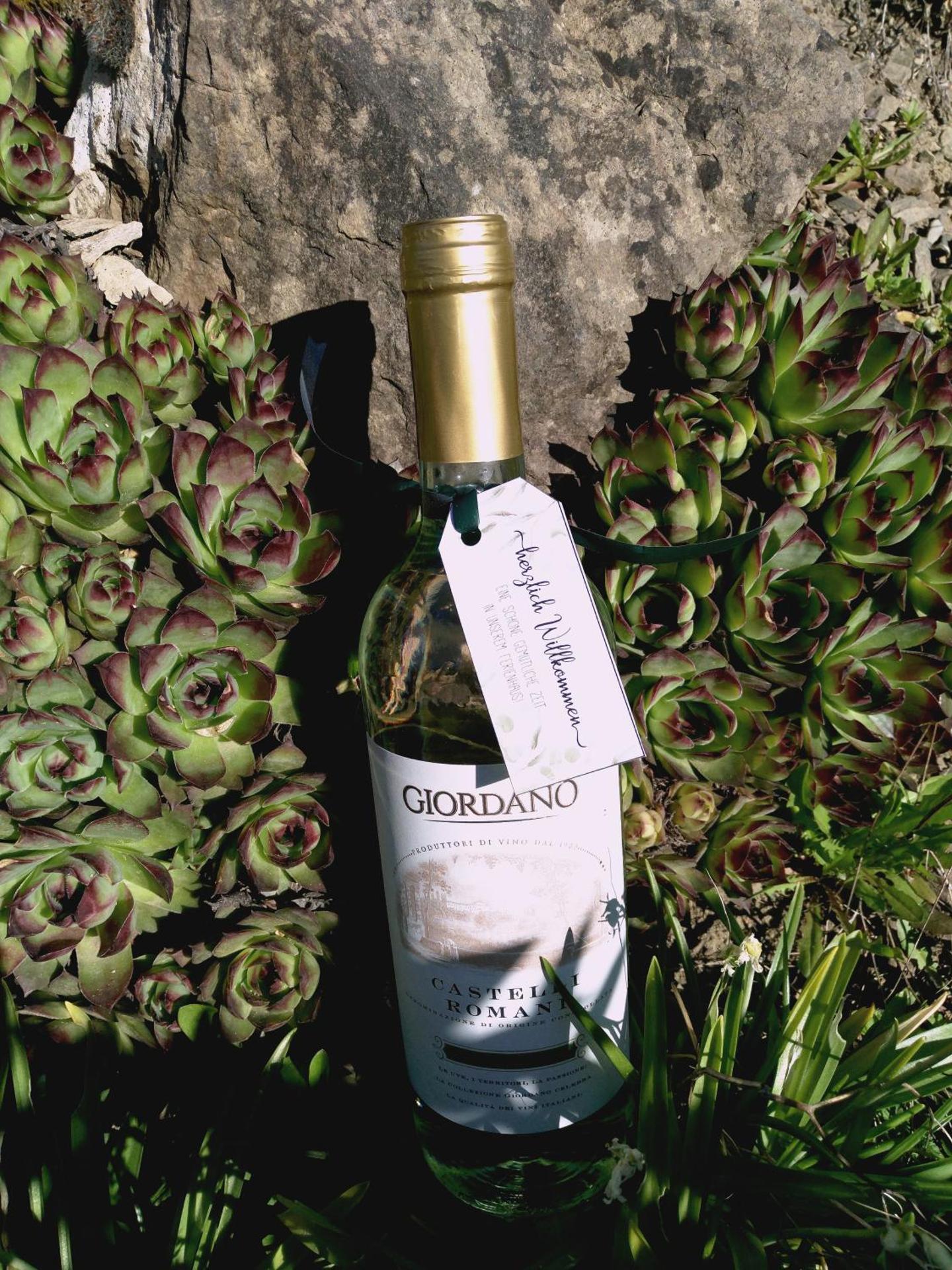 Ferienhaus " Silly " am schönen Listersee