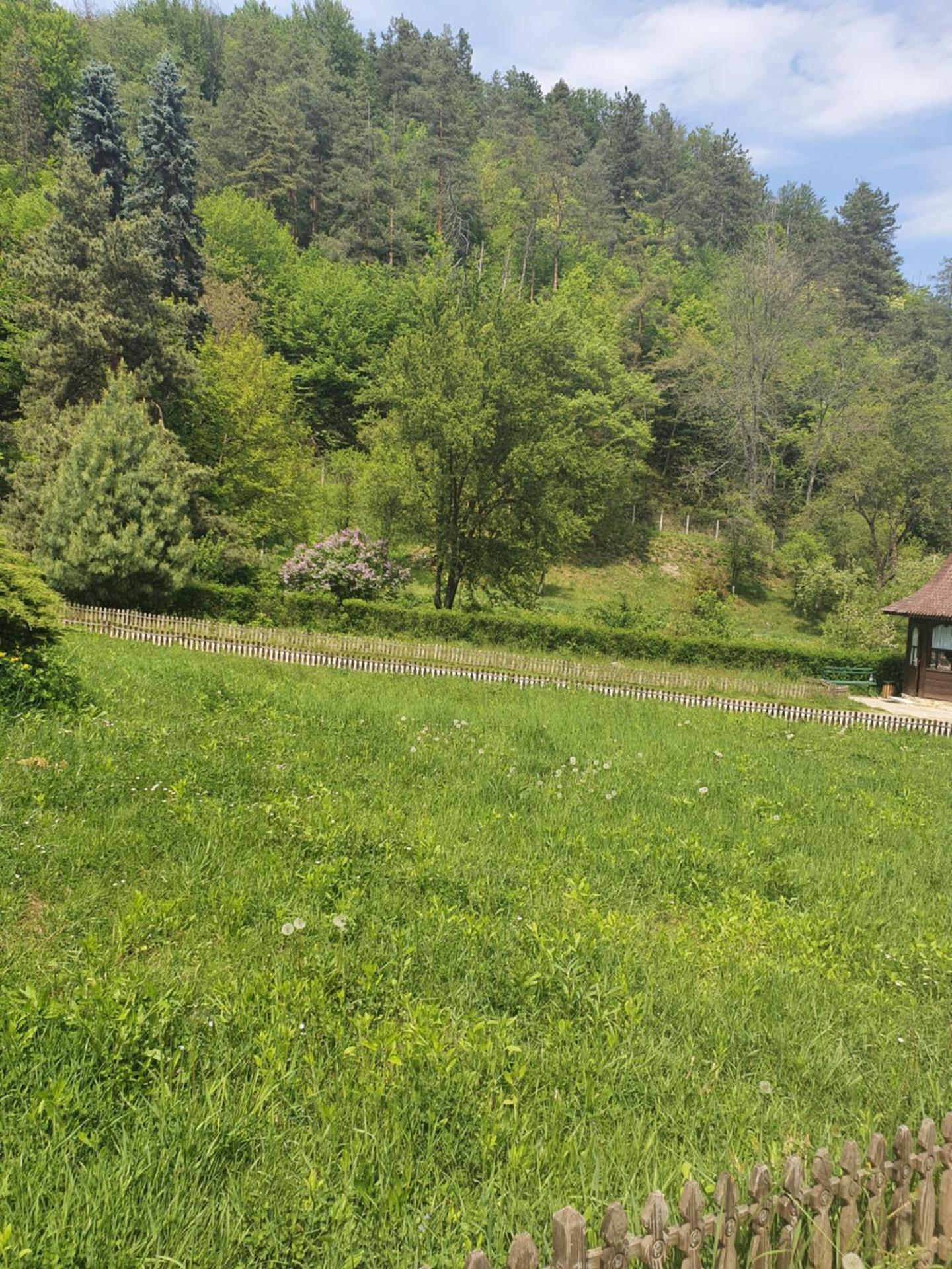 Pensiunea Roua Muntelui