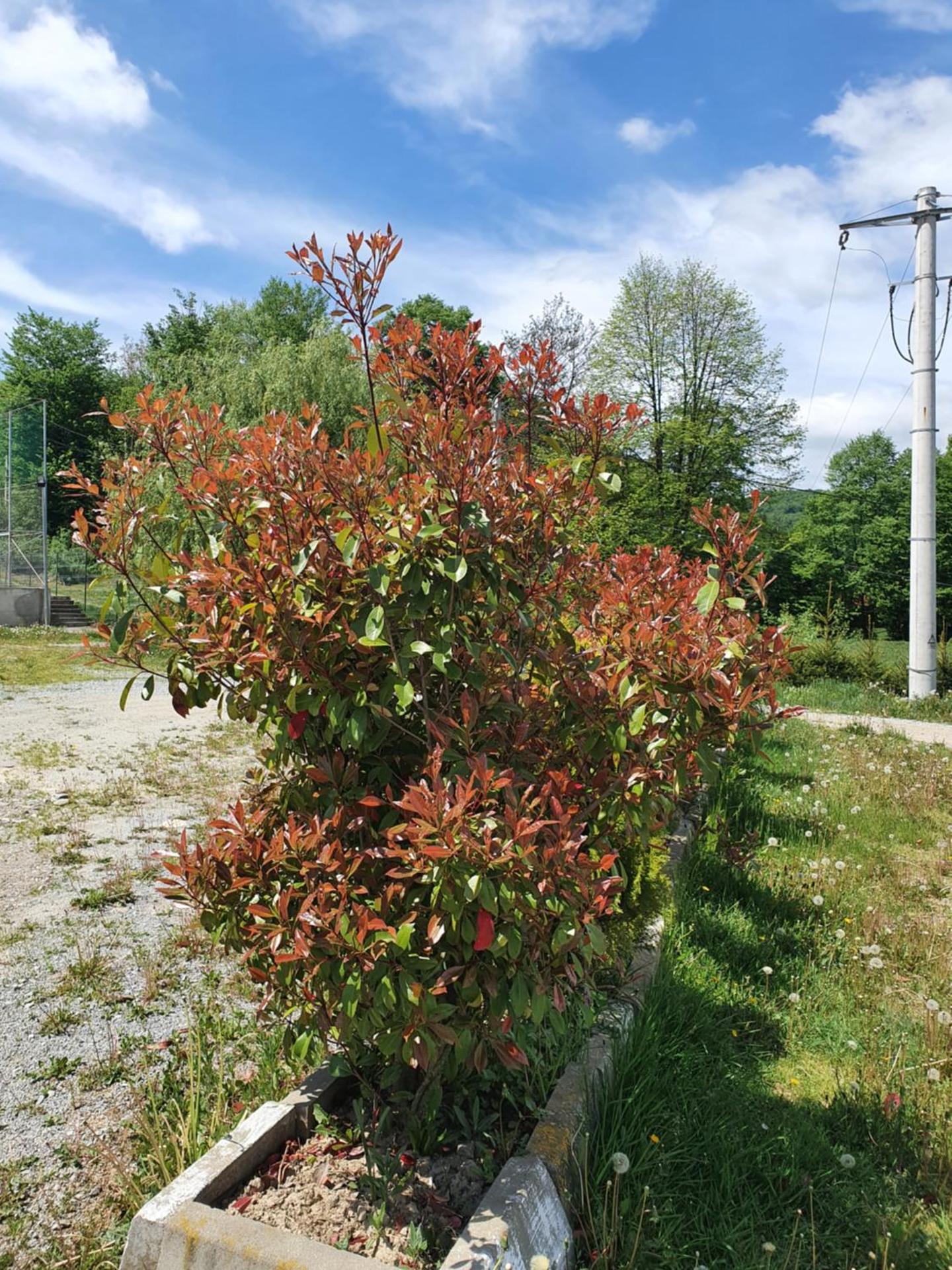 Pensiunea Roua Muntelui