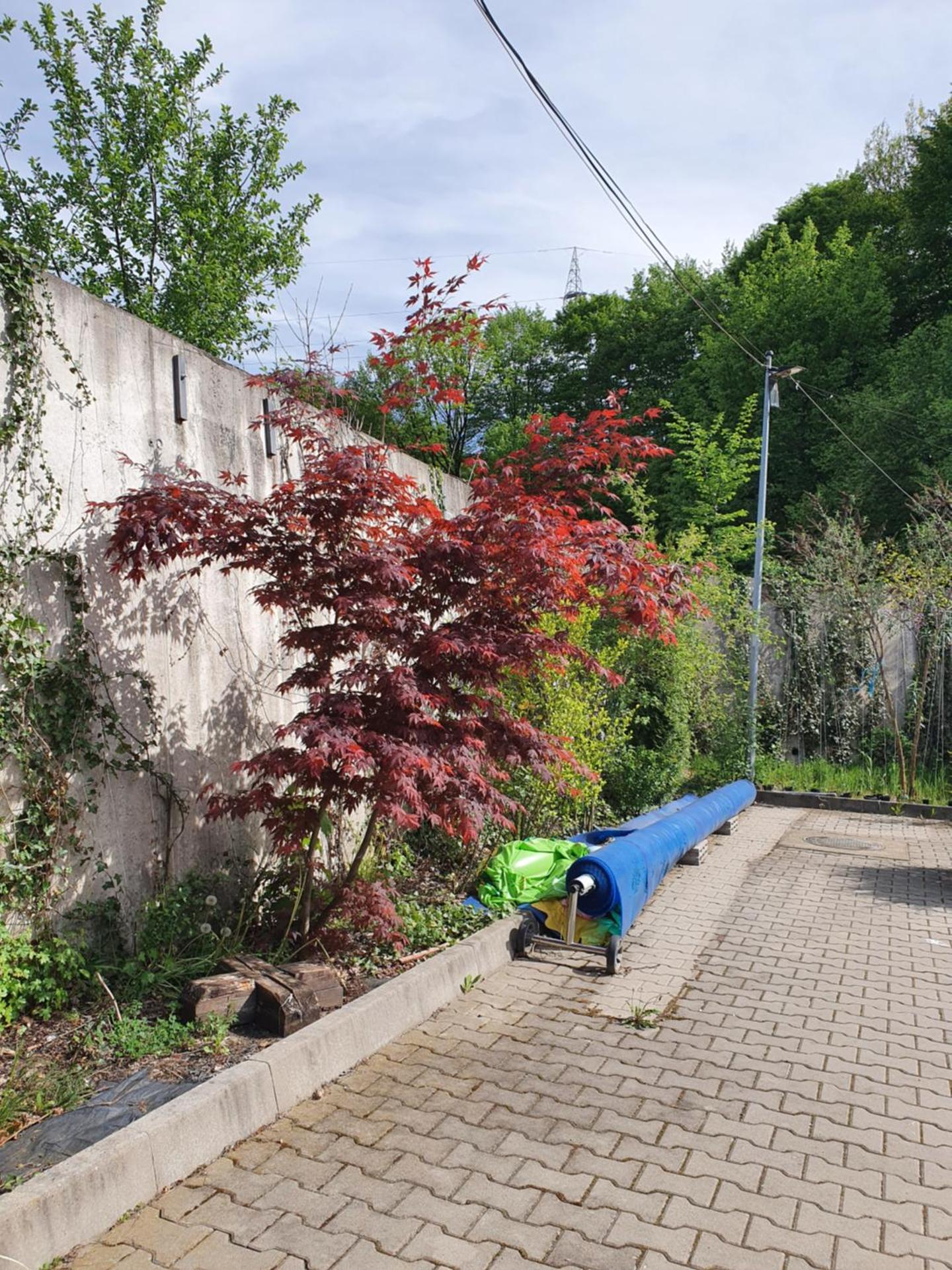 Pensiunea Roua Muntelui