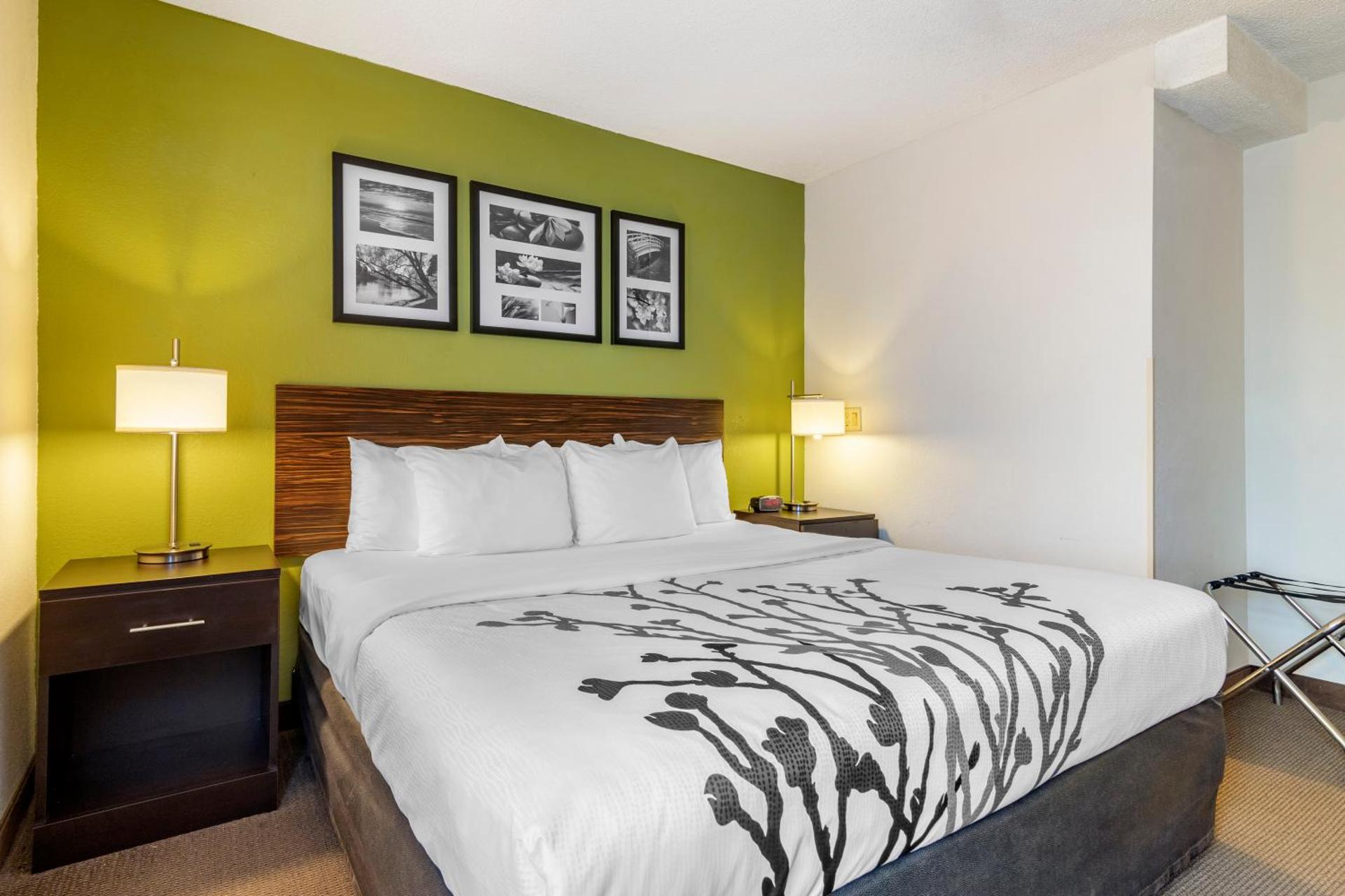 King Room - Accessible/Non-Smoking