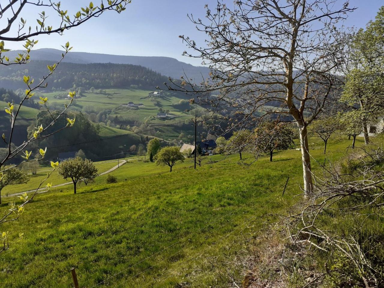 NORDIQUES DE LA WELCHE