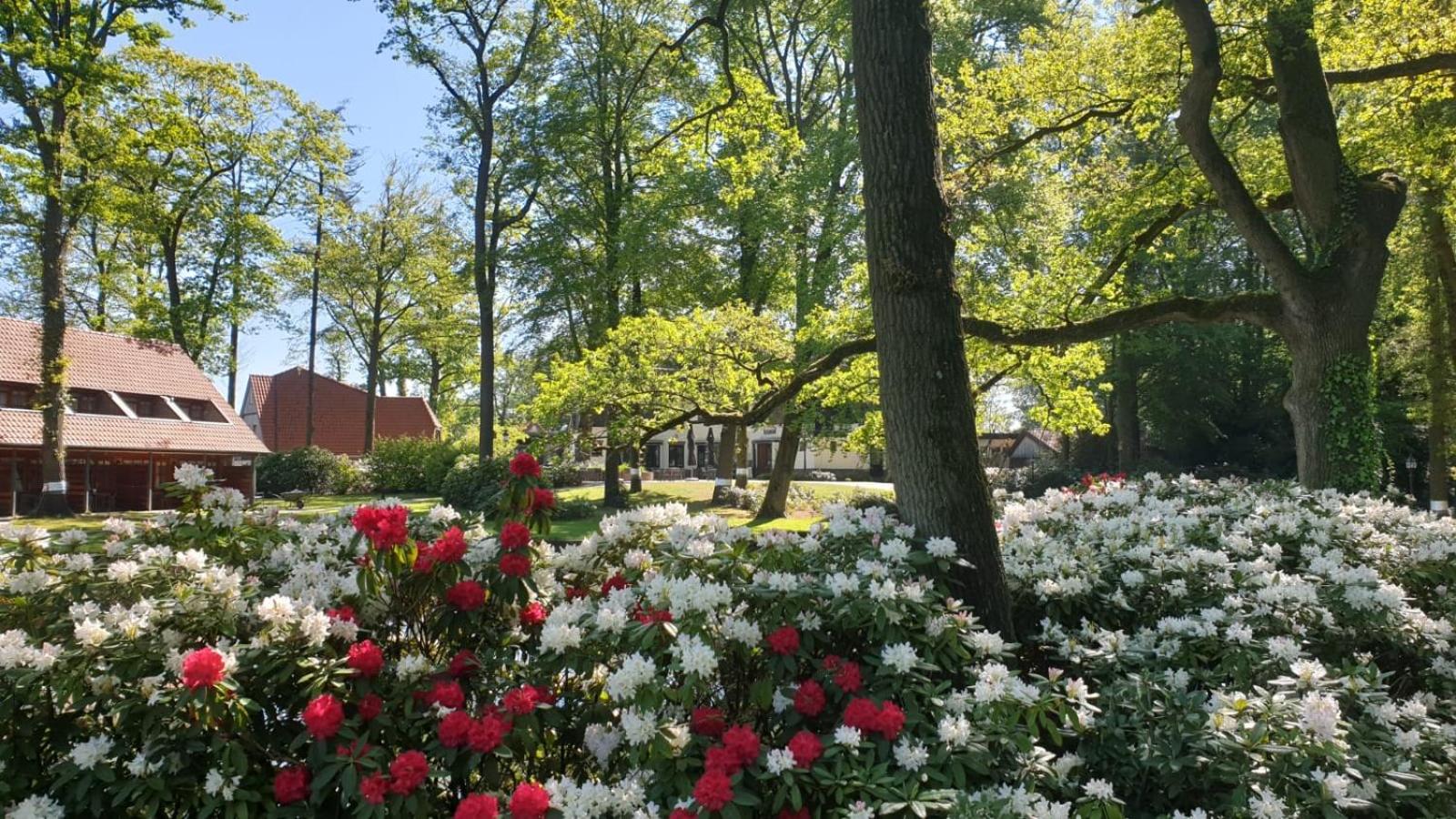 Huize Hölterhof Wellness Hotel Restaurant