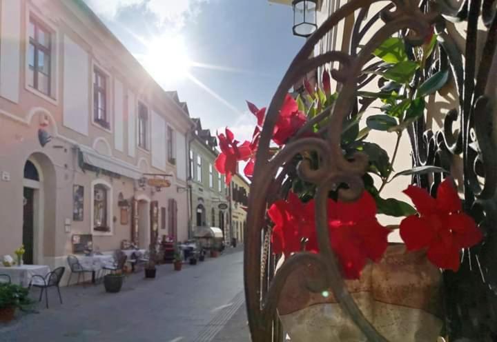 One-Bedroom Apartment (2 Adults)