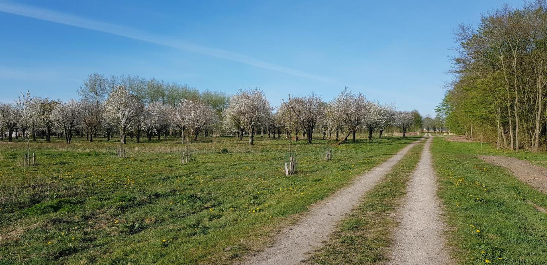 The Blue House - Luxurious Waterfront Villa Zeewolde