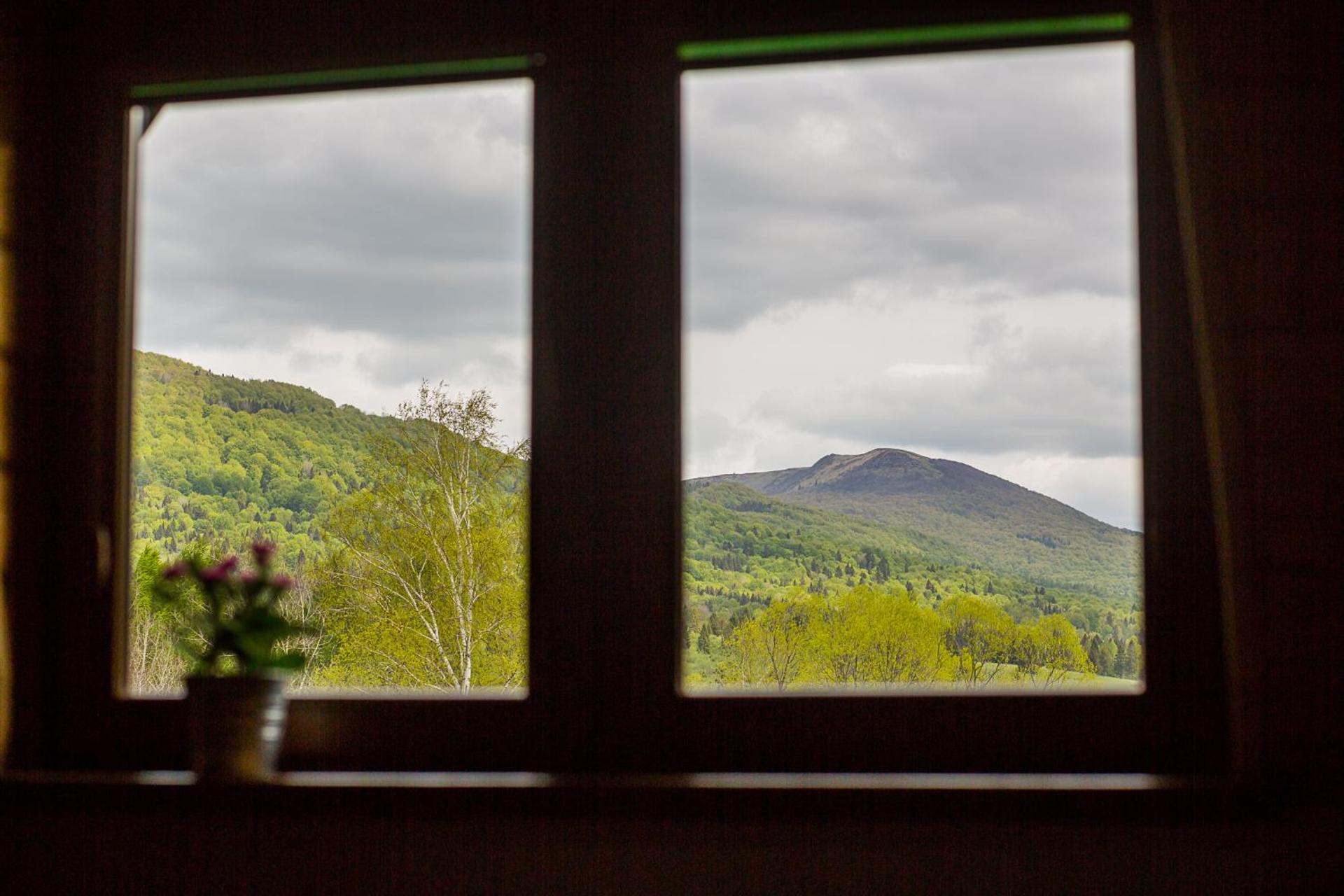 Niemczukówka 2 - Smerek