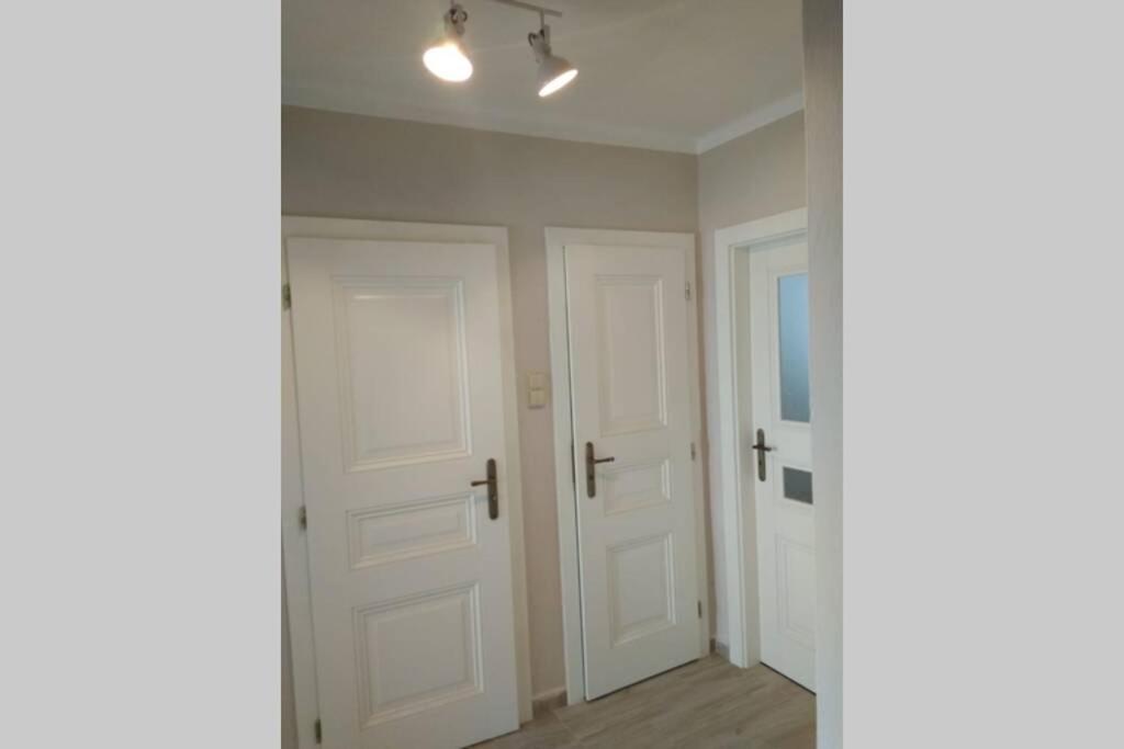 Apartmán se zahradou v Protivíně č.2