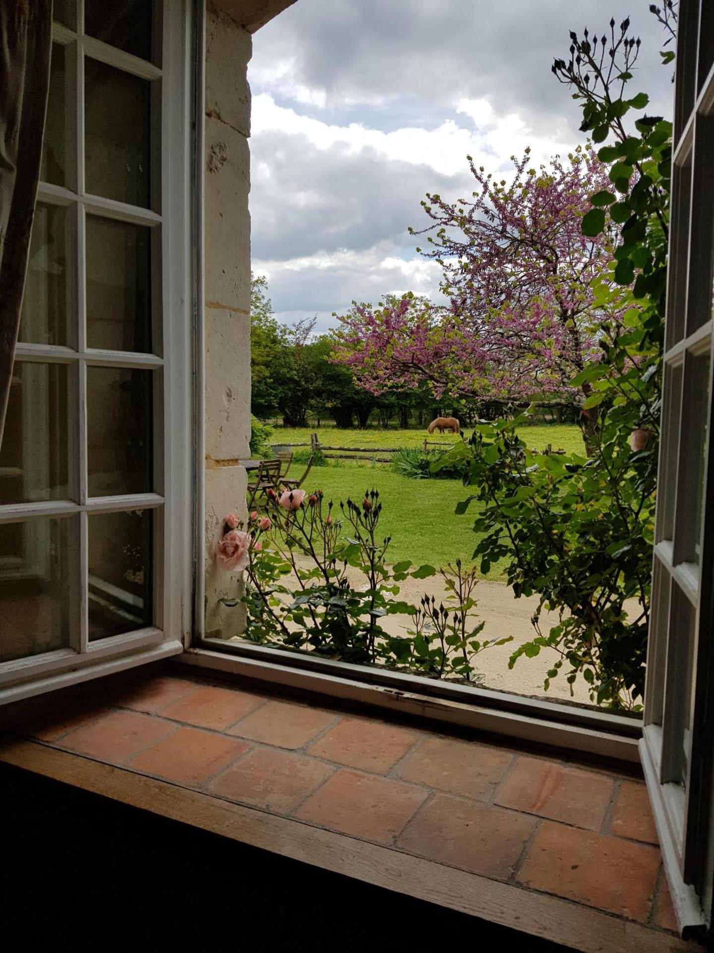 View (from property/room)