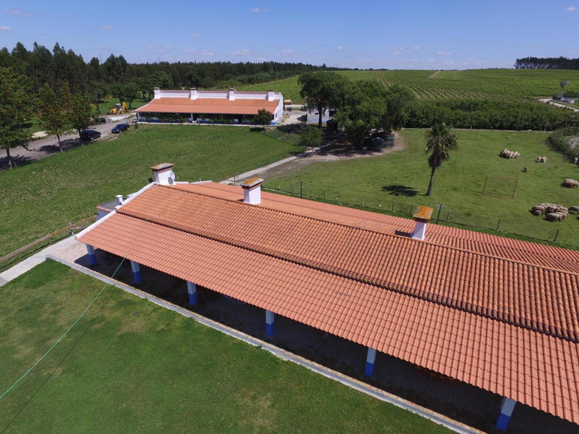 Monte do Lago, Pegões