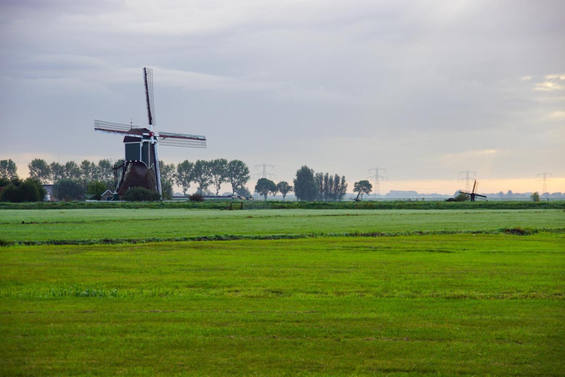 Vertoeven bij Verhoeven