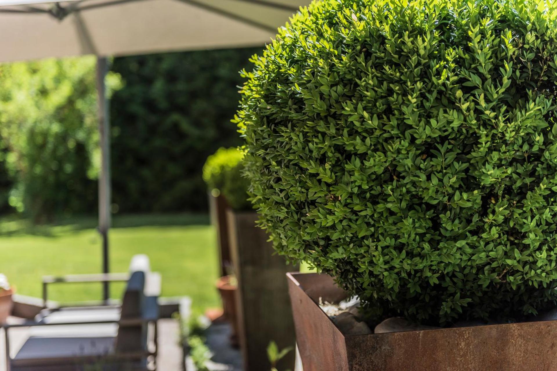 Residence-Garni Haus Tschenett