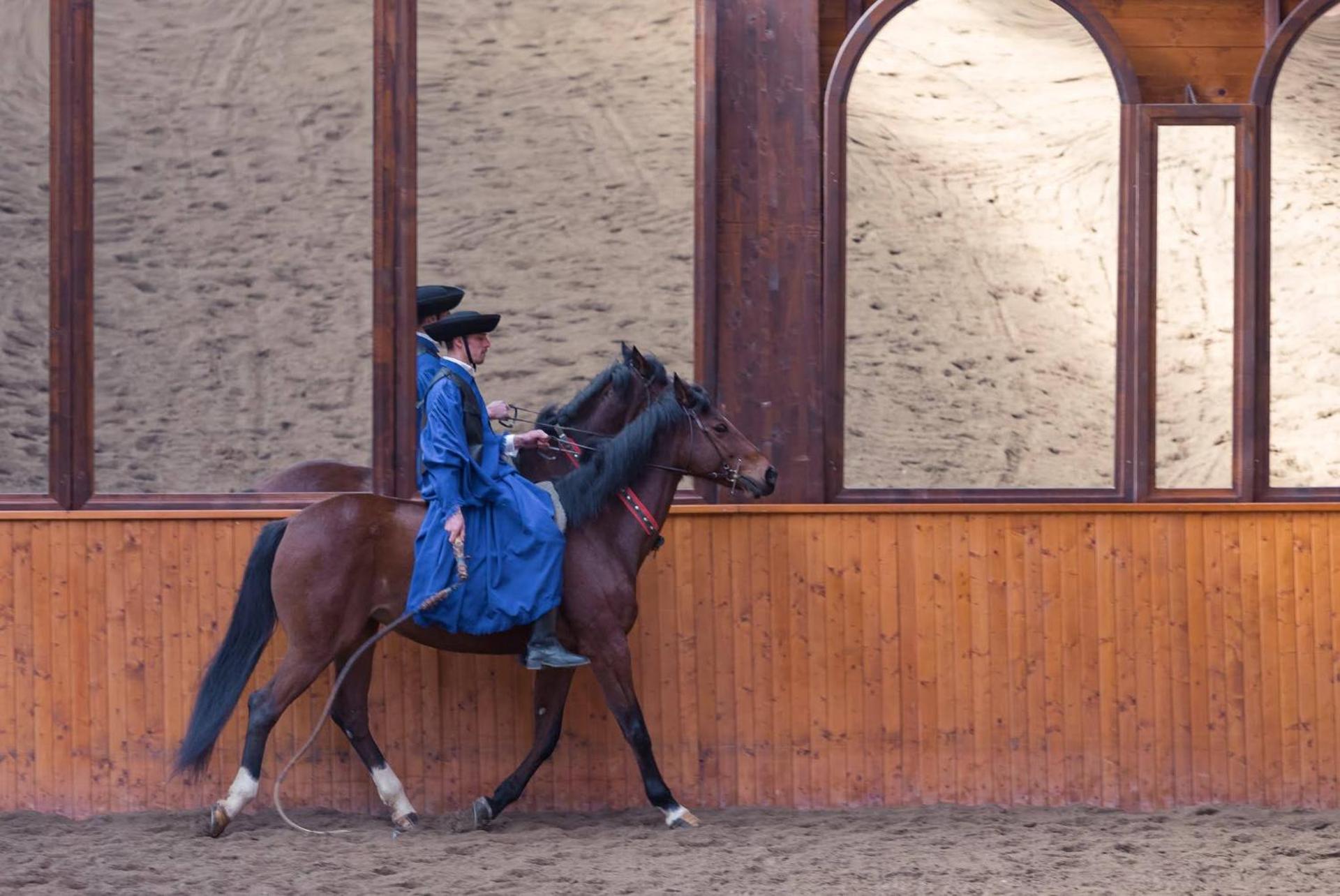 Domeniul Dracula Daneș