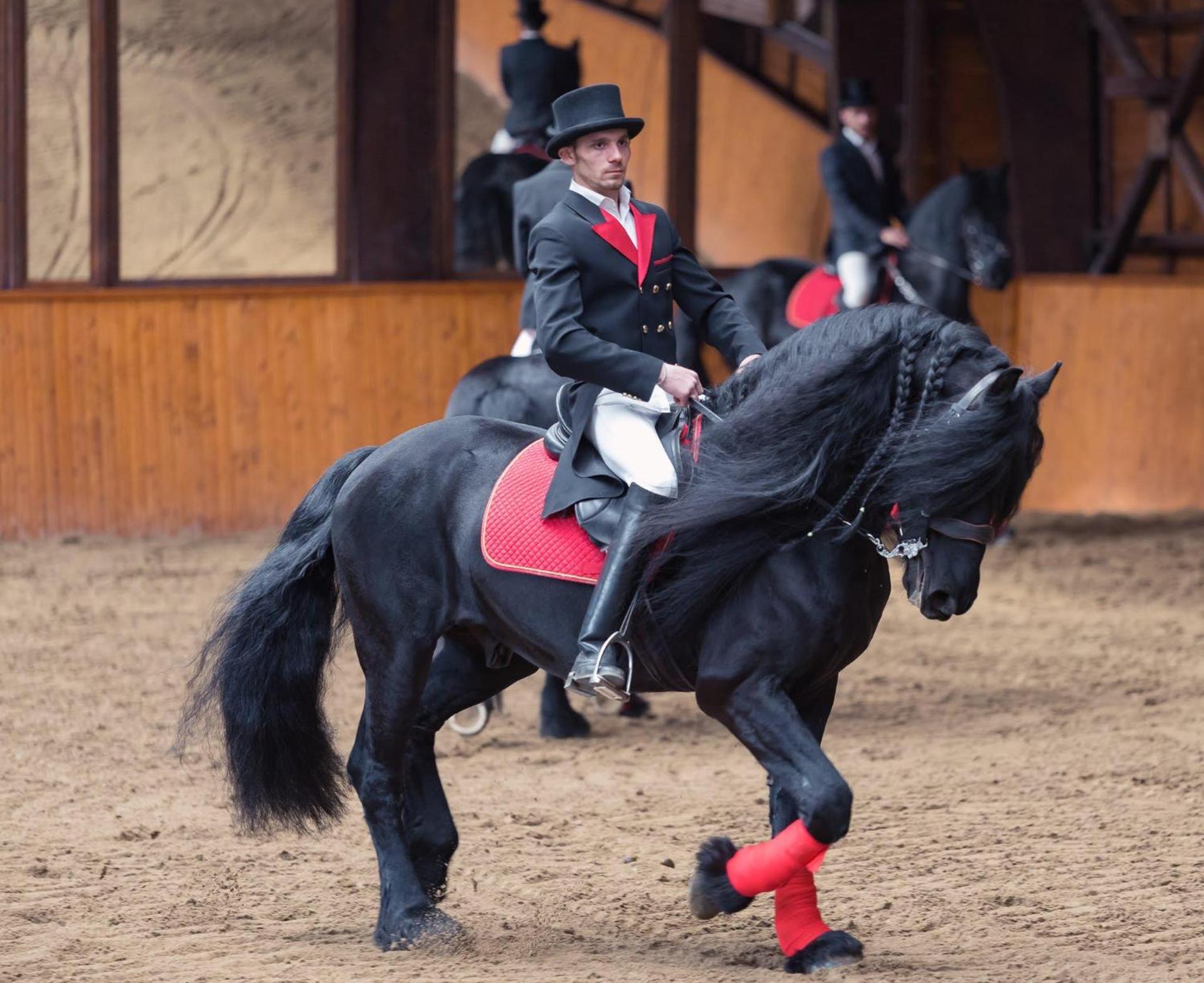 Domeniul Dracula Daneș