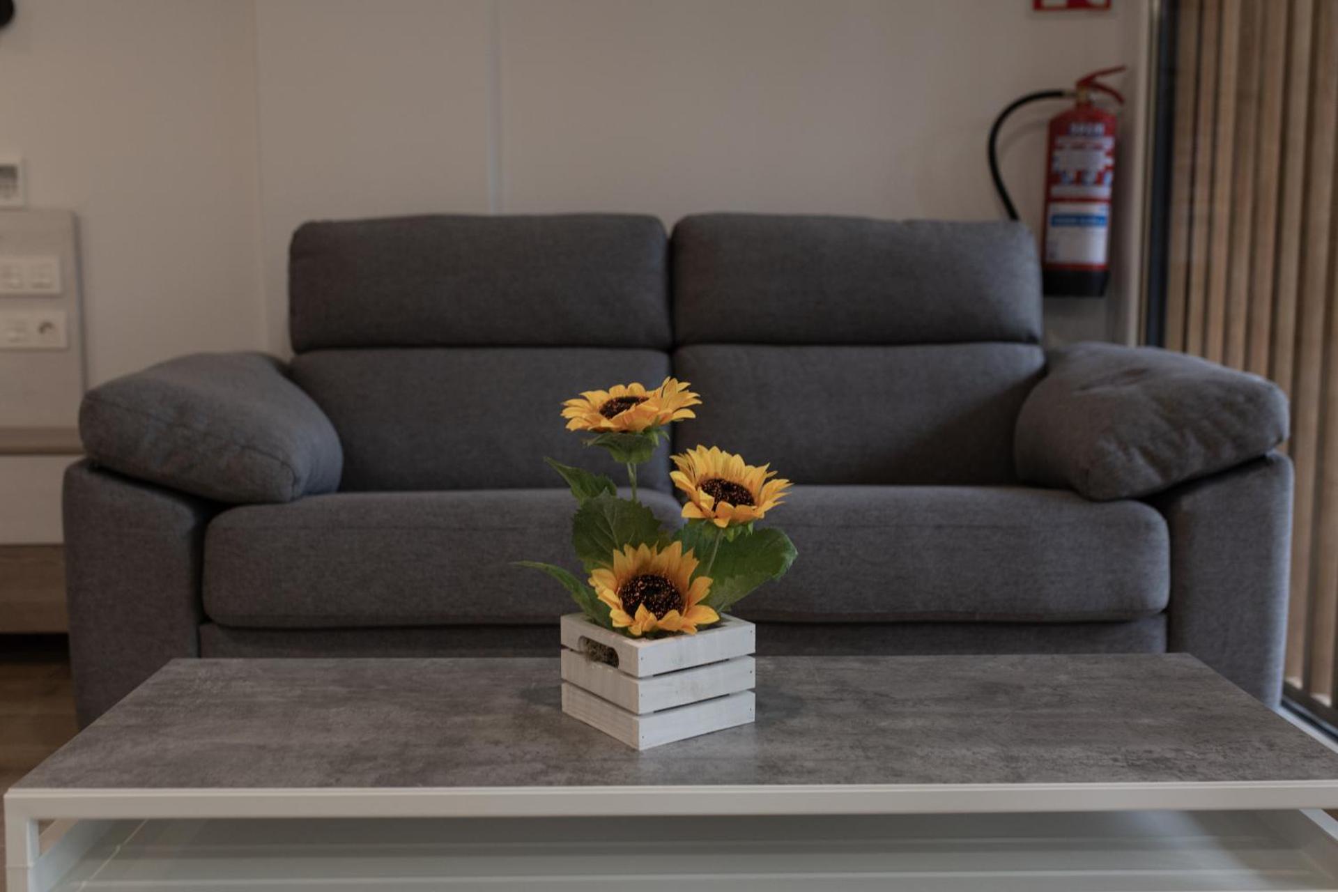 Loft en Zarauz con parking Hator 1