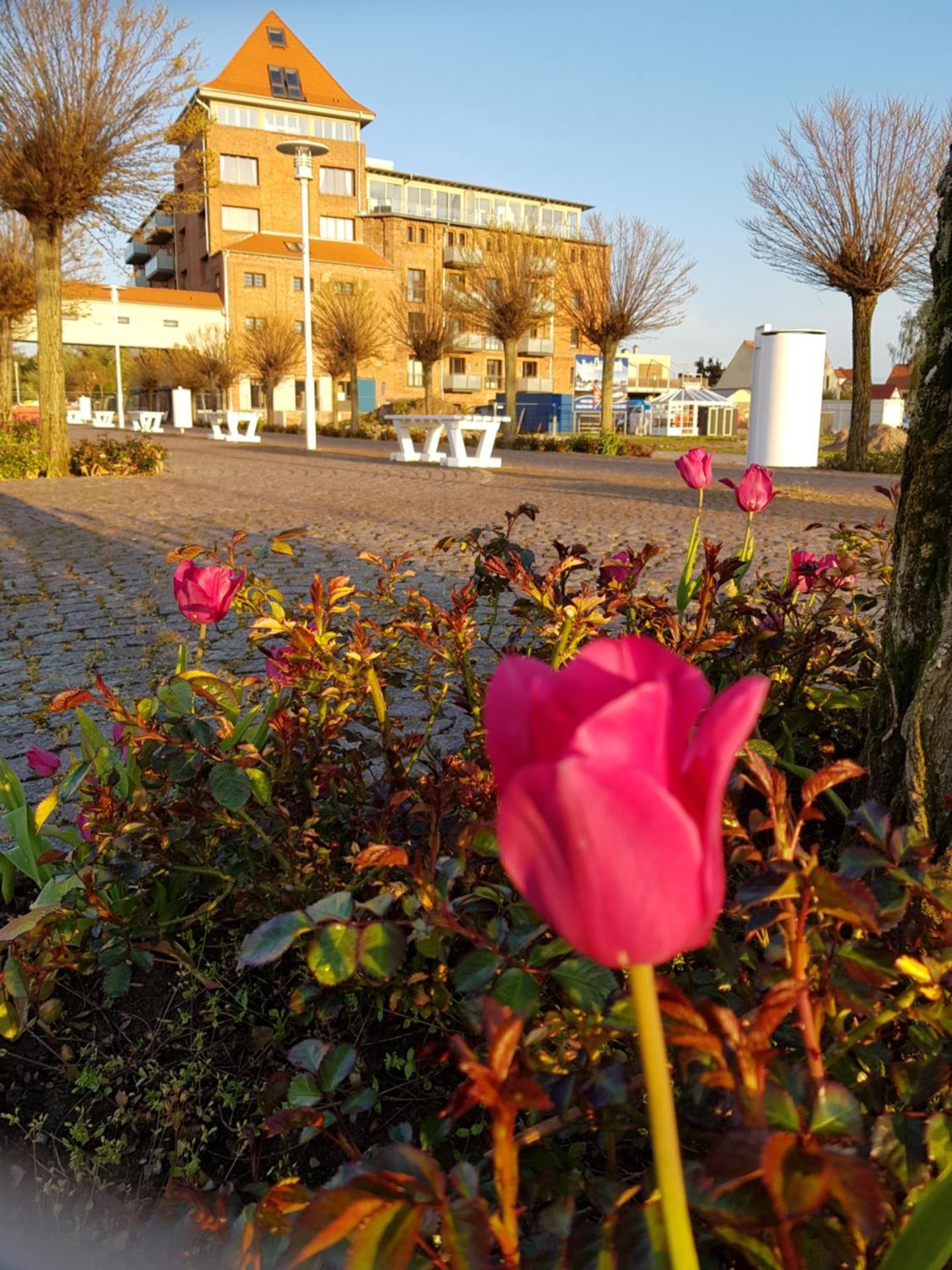 Sunshine Speicherresidenz Barth