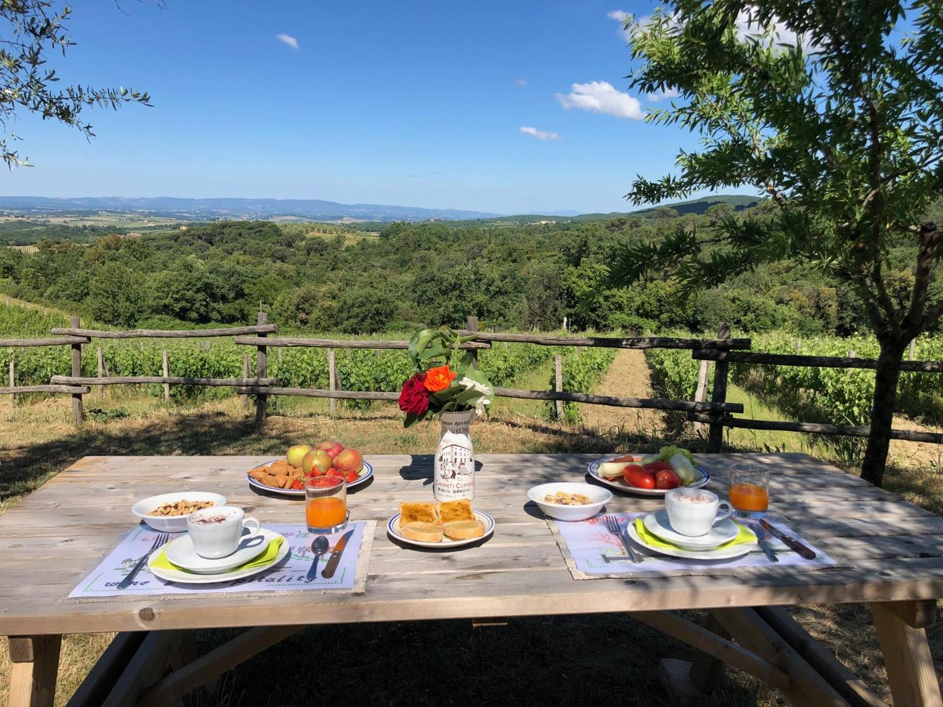 Agriturismo Oliviera Winery