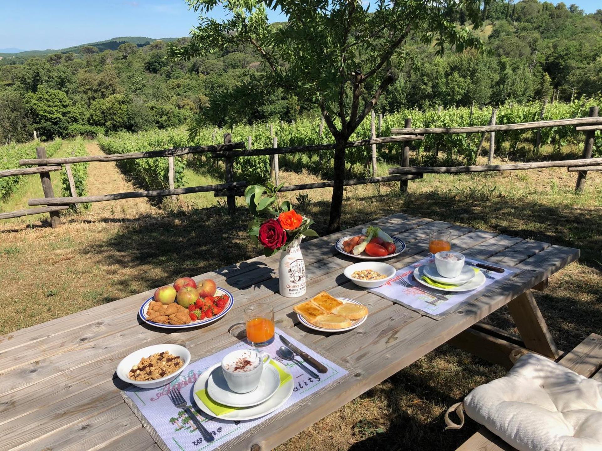 Agriturismo Oliviera Winery