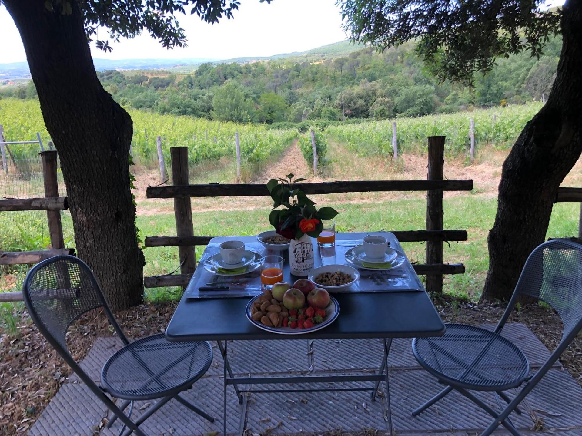 Agriturismo Oliviera Winery