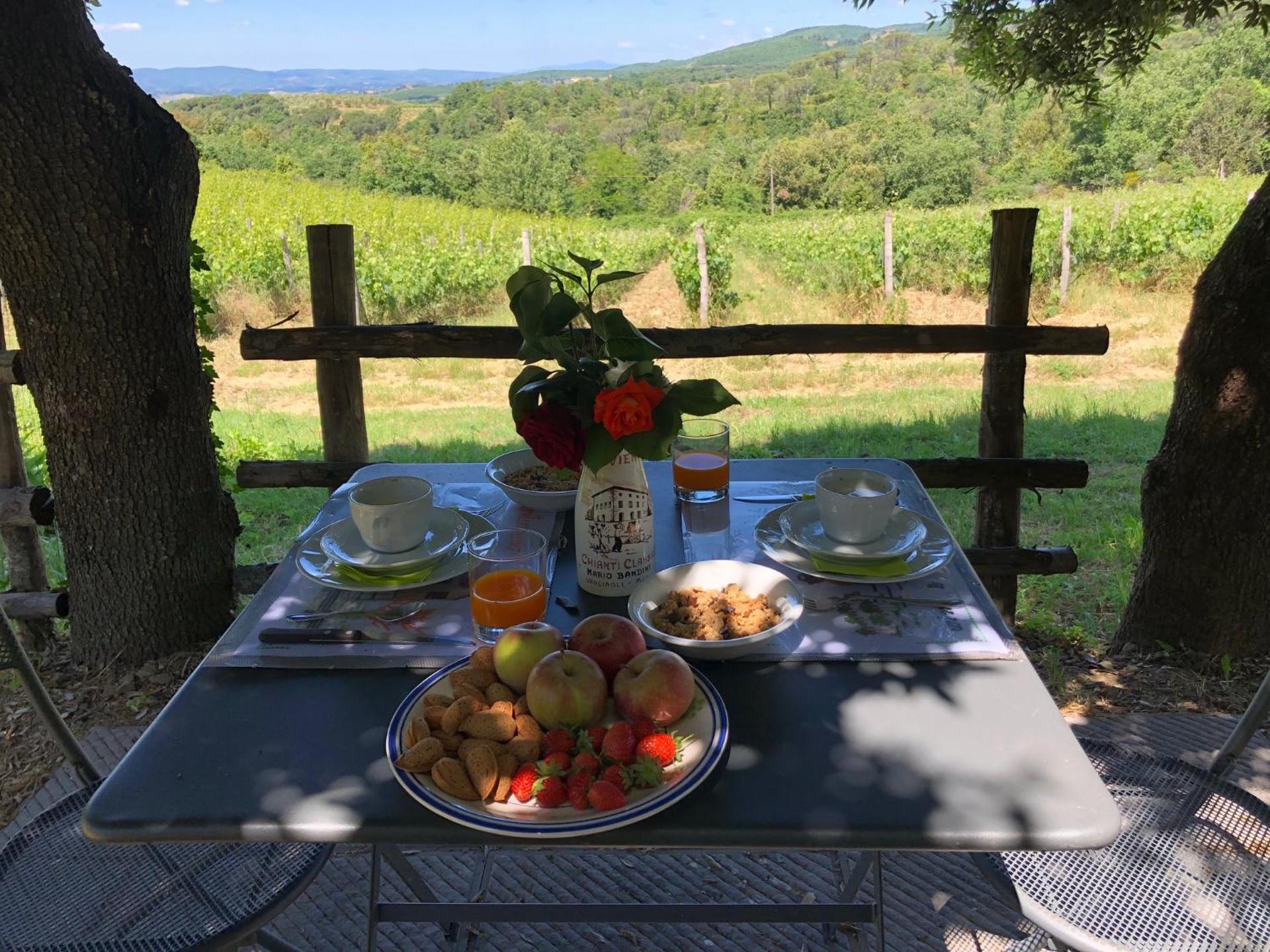 Agriturismo Oliviera Winery