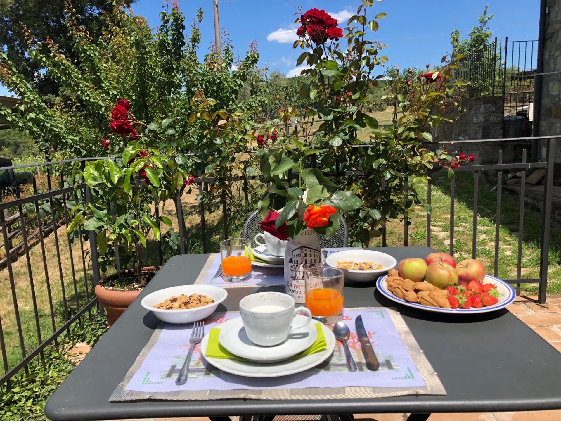 Agriturismo Oliviera Winery