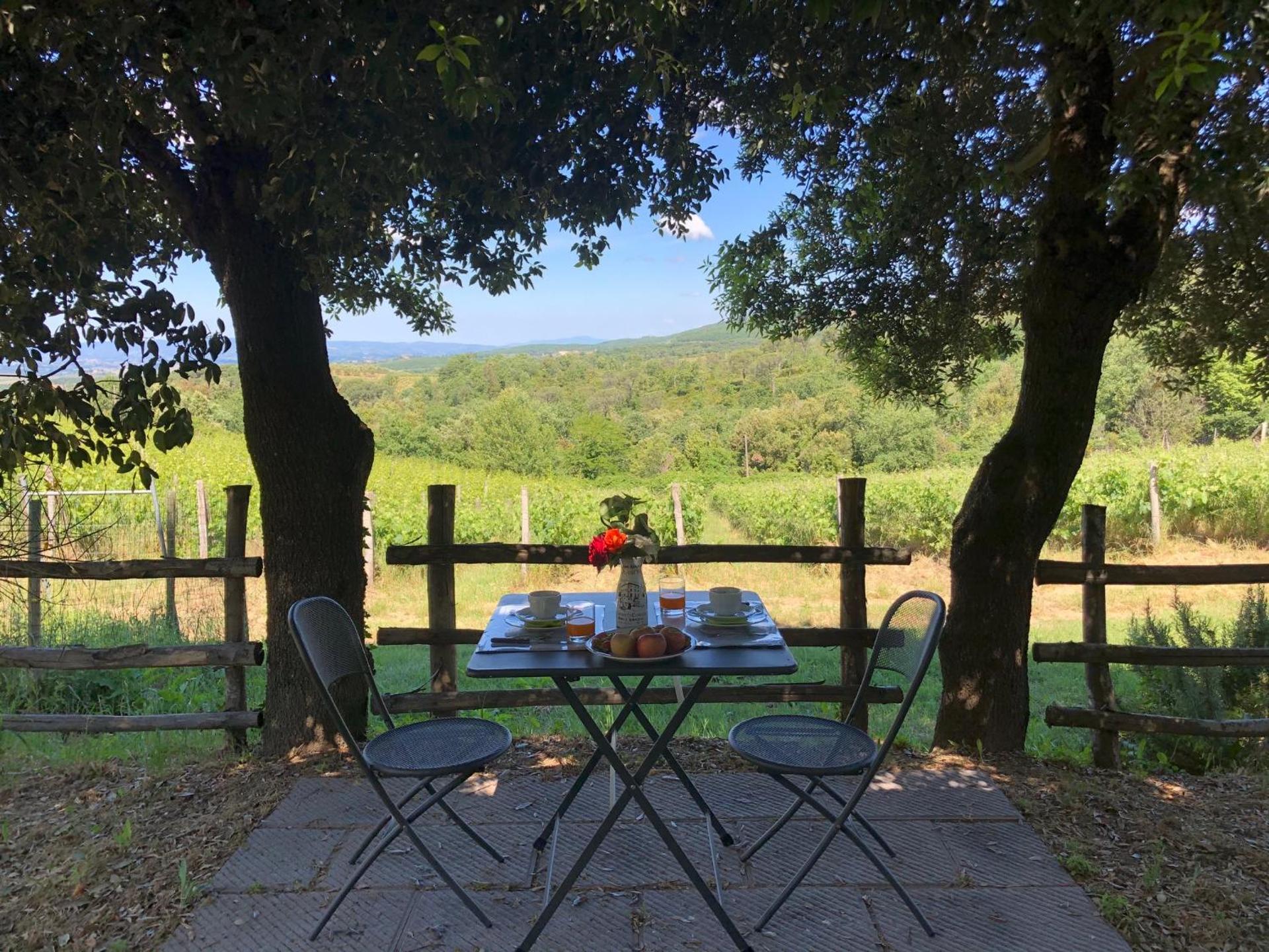 Agriturismo Oliviera Winery