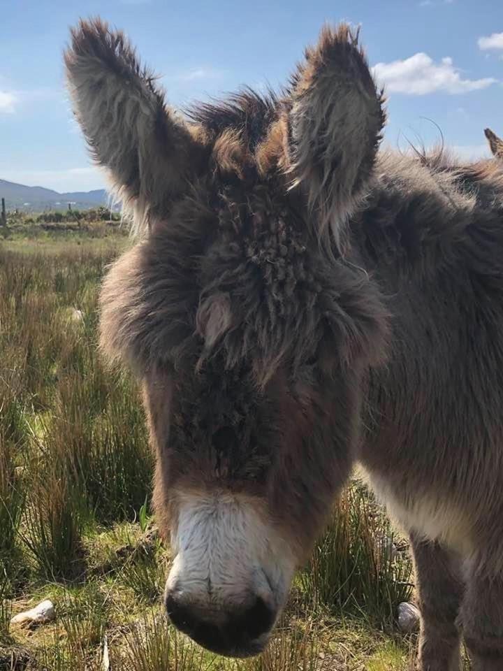 The Waterside Apartment 112 Harbour Mills