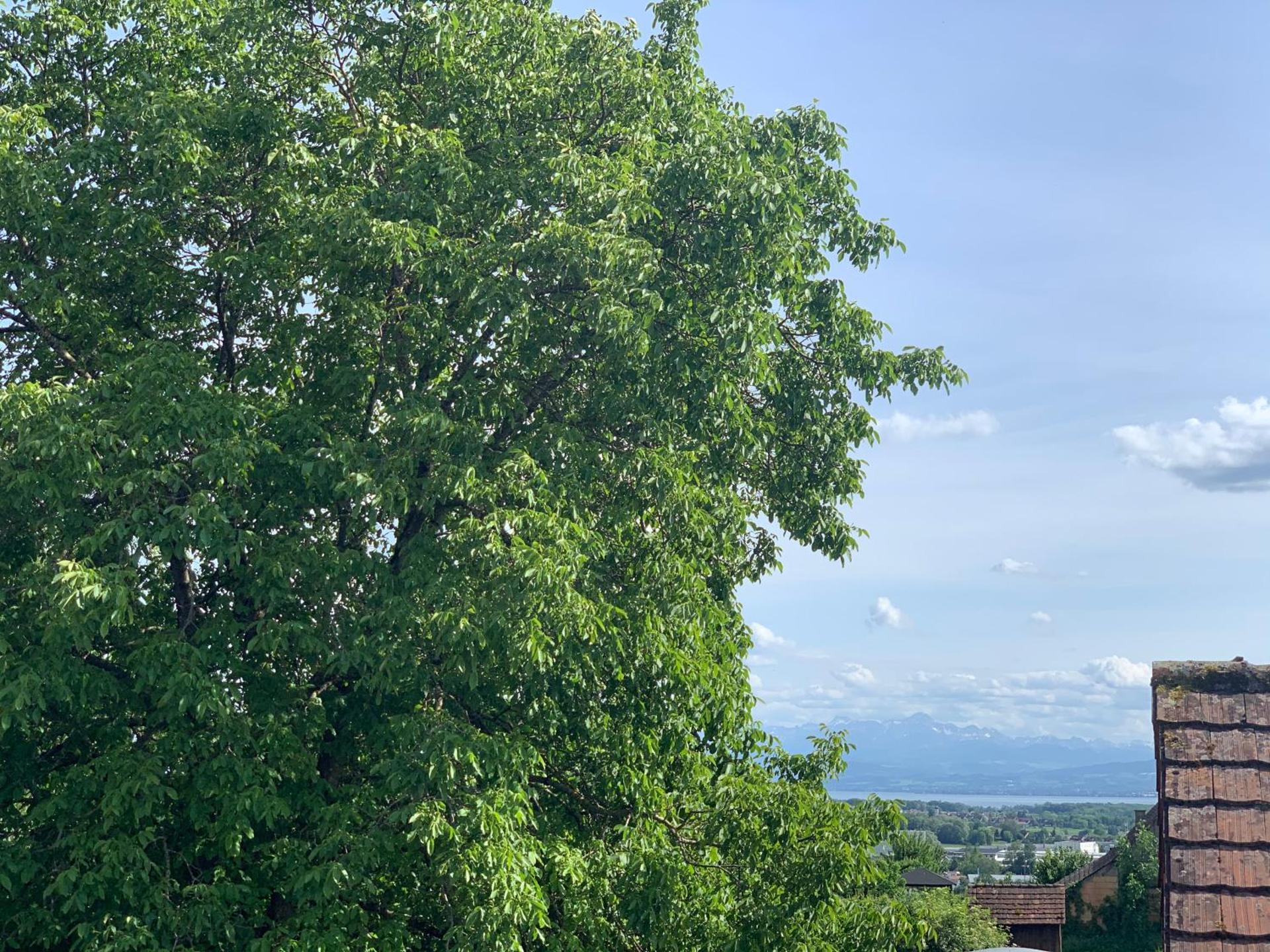 Apartment Wanderglück am Gehrenberg