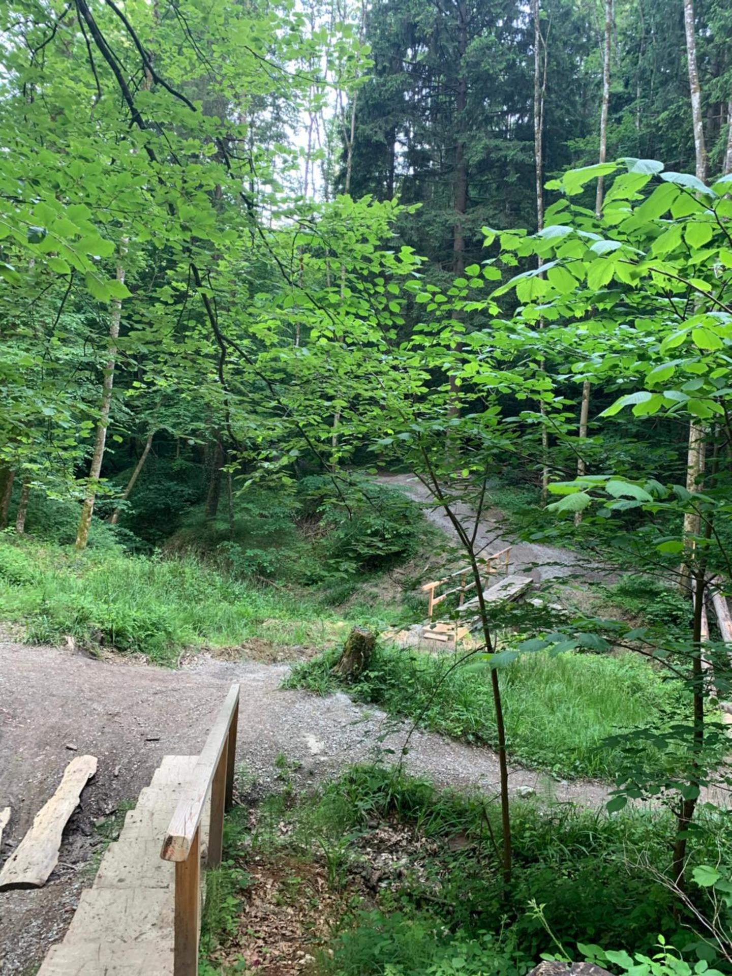 Apartment Wanderglück am Gehrenberg